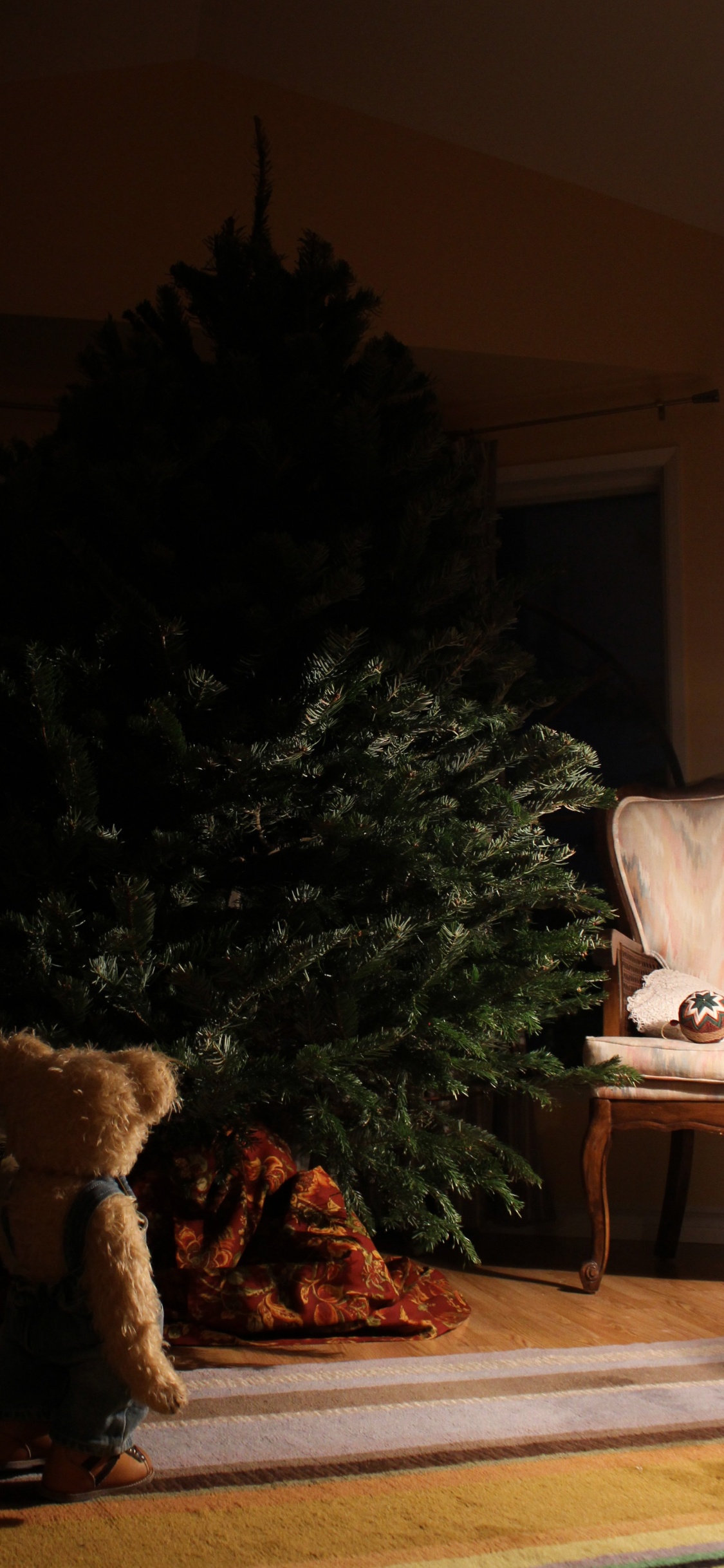 Обои родина, башмак, Хаус, комната, Компания Timberland в разрешении 1125x2436