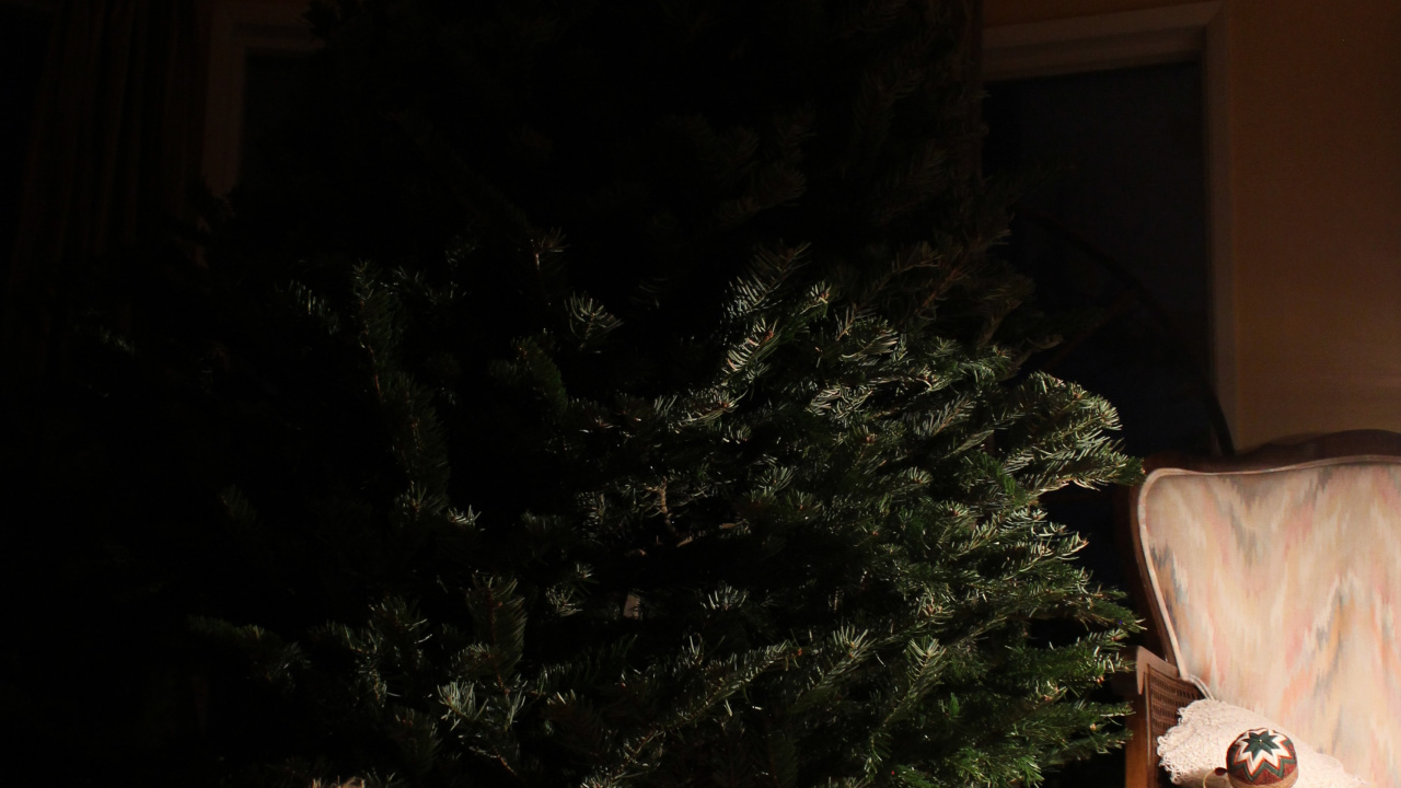 Обои родина, башмак, Хаус, комната, Компания Timberland в разрешении 1280x720