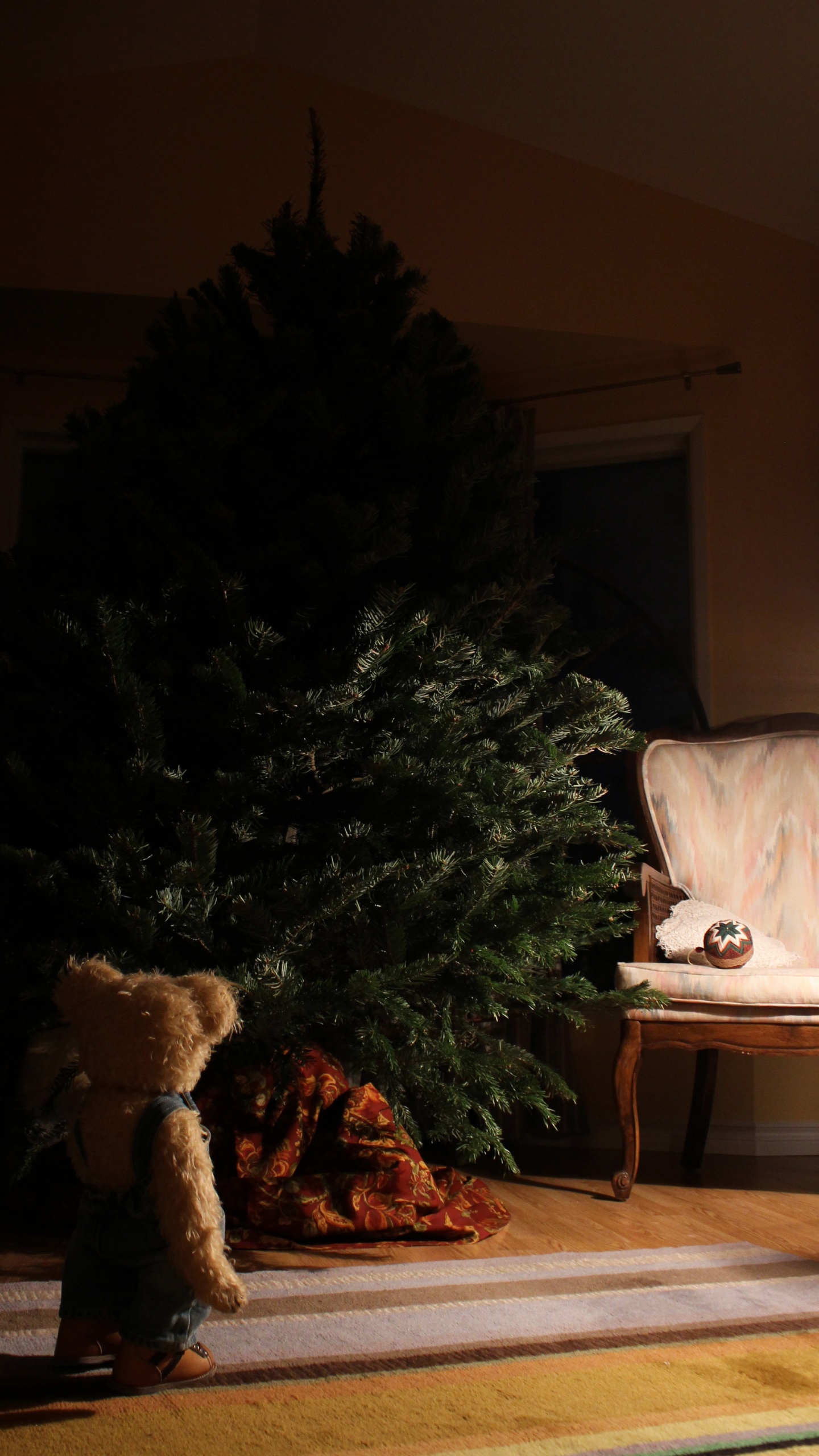 Обои родина, башмак, Хаус, комната, Компания Timberland в разрешении 1440x2560