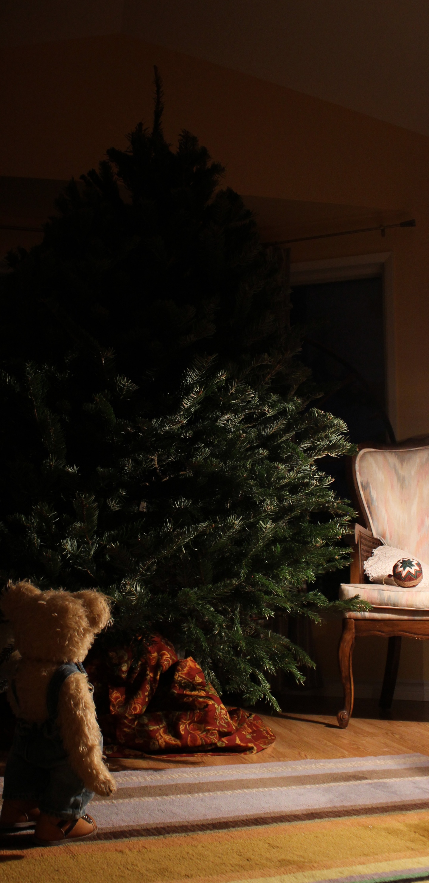 Обои родина, башмак, Хаус, комната, Компания Timberland в разрешении 1440x2960