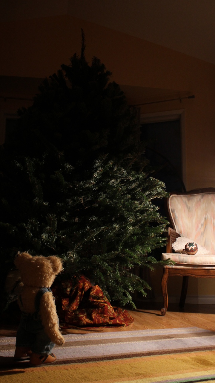 Обои родина, башмак, Хаус, комната, Компания Timberland в разрешении 720x1280