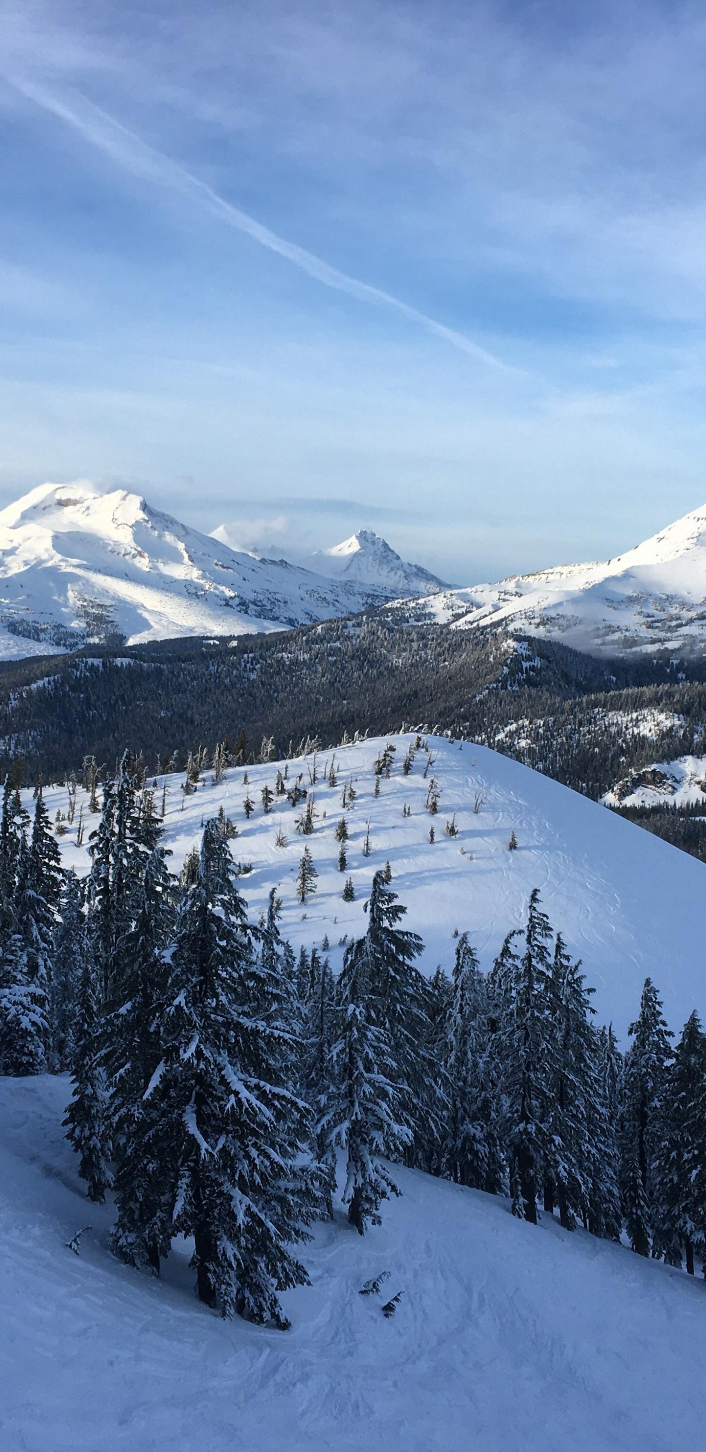 Обои Крепление Бакалавр, Маунтхуд, Маунт Шаста, облако, гора в разрешении 1440x2960