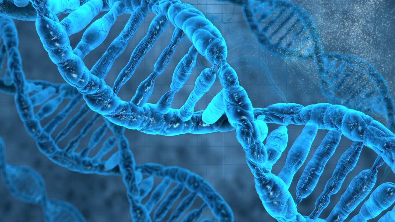 Обои ДНК, геном, синий, морская биология, электрик в разрешении 1280x720