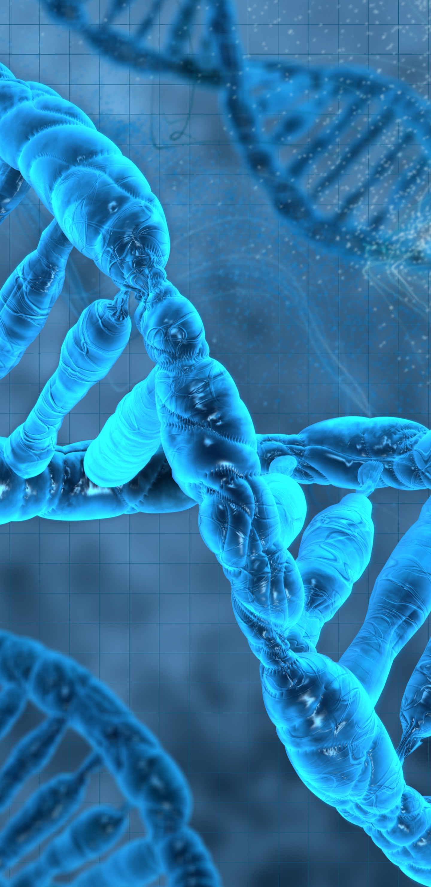 Обои ДНК, геном, синий, морская биология, электрик в разрешении 1440x2960