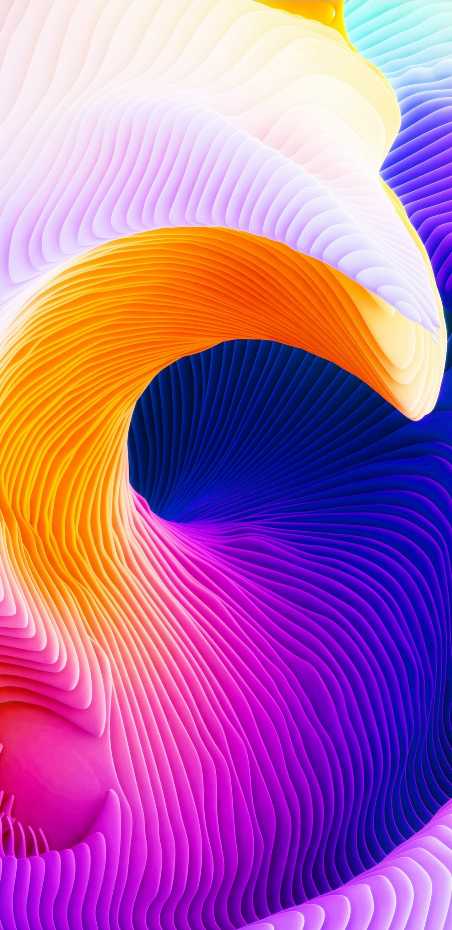 Обои пурпур, Апельсин, Фиолетовый, желтый, красочность в разрешении 1440x2960