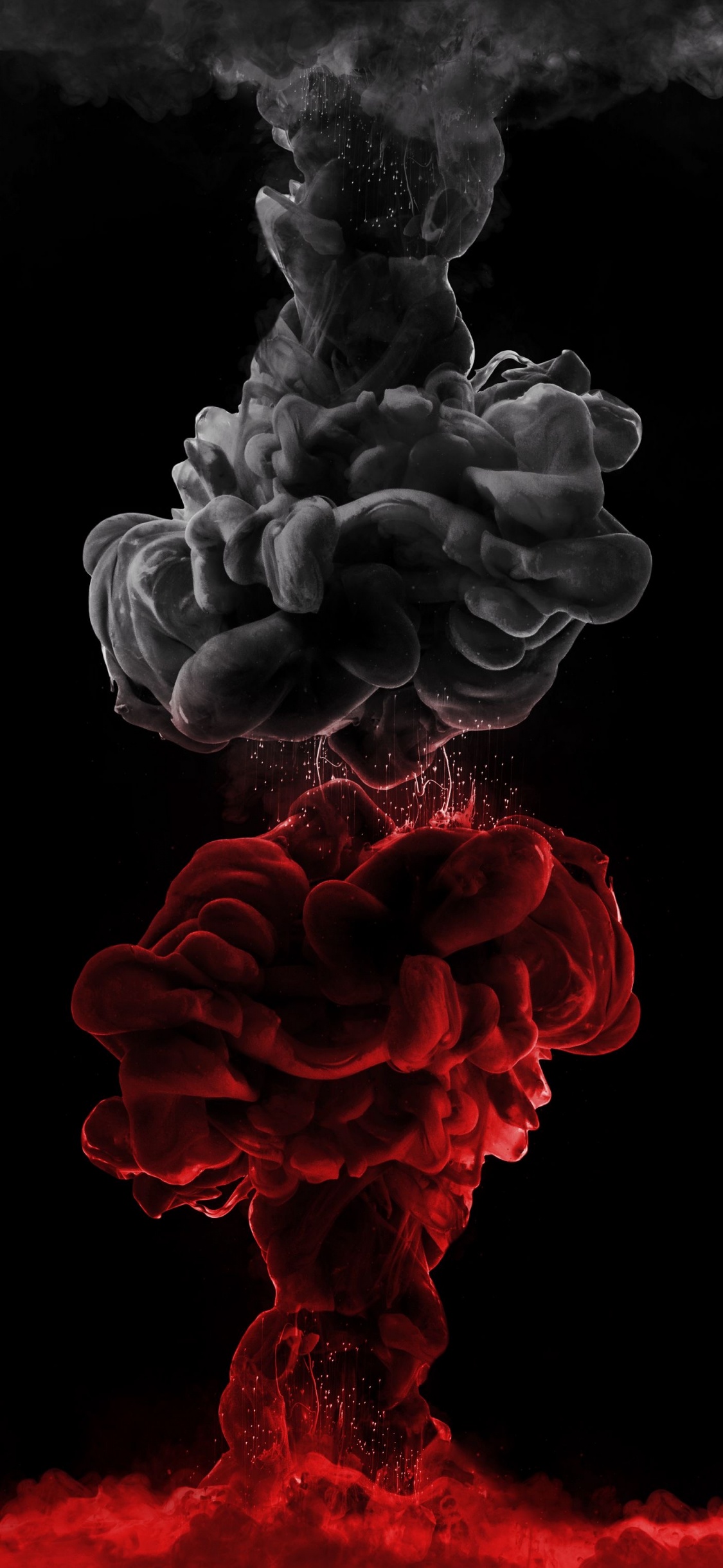 Обои лепесток, газ, узор, темнота, семья Роуз в разрешении 1125x2436