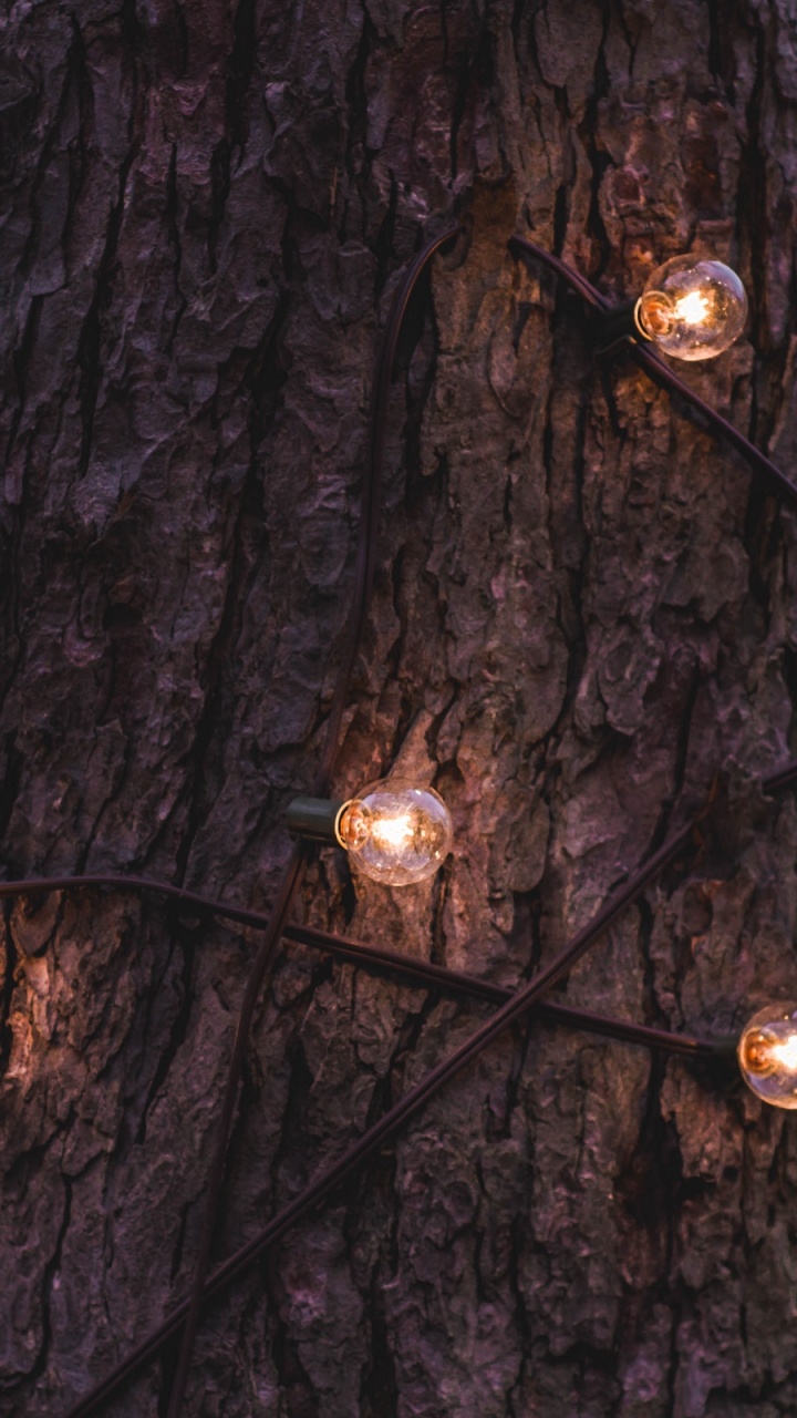 Обои освещение, Рождественские огни, дерево, свет, ветвь в разрешении 720x1280