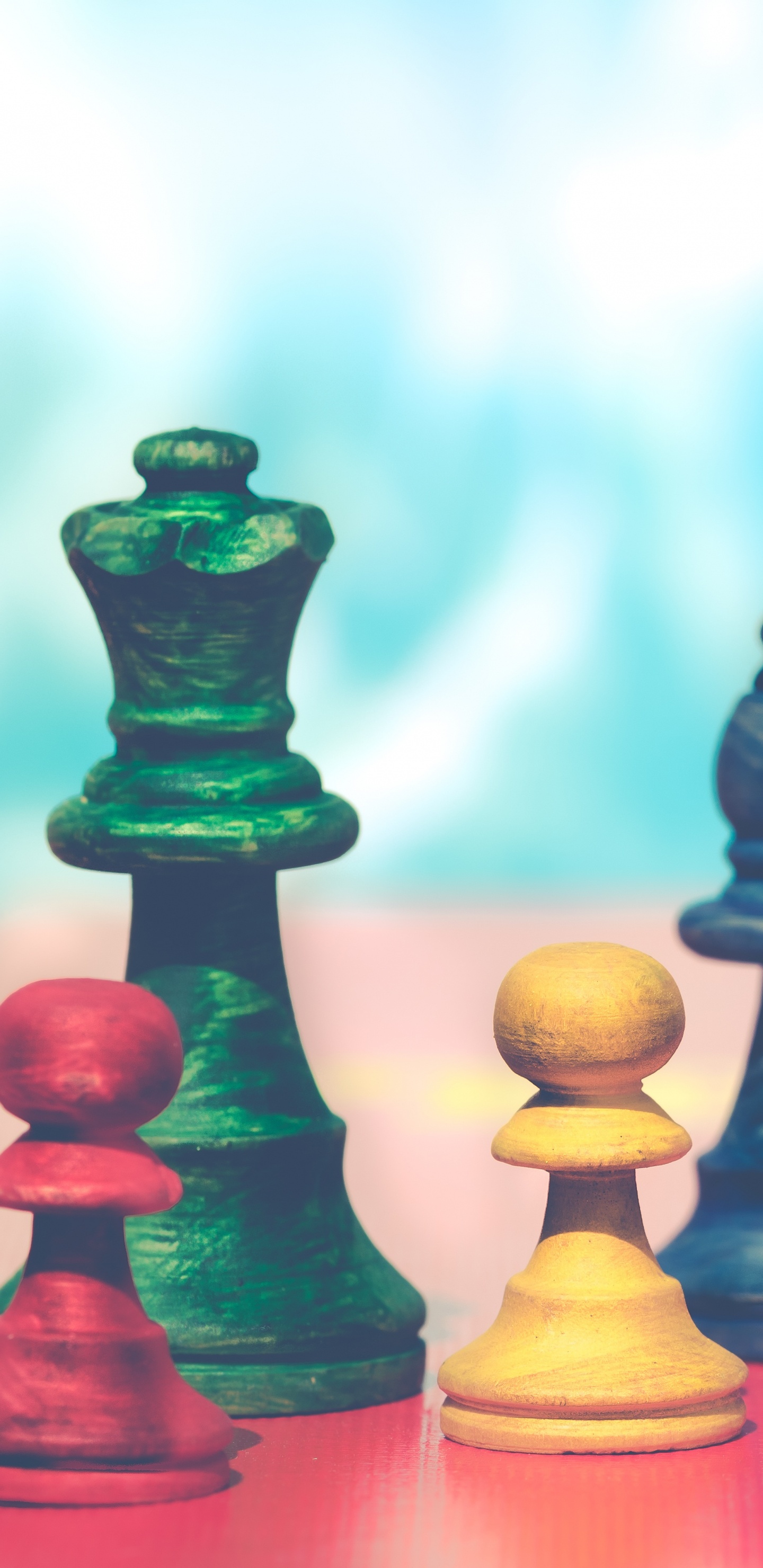 Обои шахматы, шахматная доска, игры, игры в помещении и спорта, отдых в разрешении 1440x2960