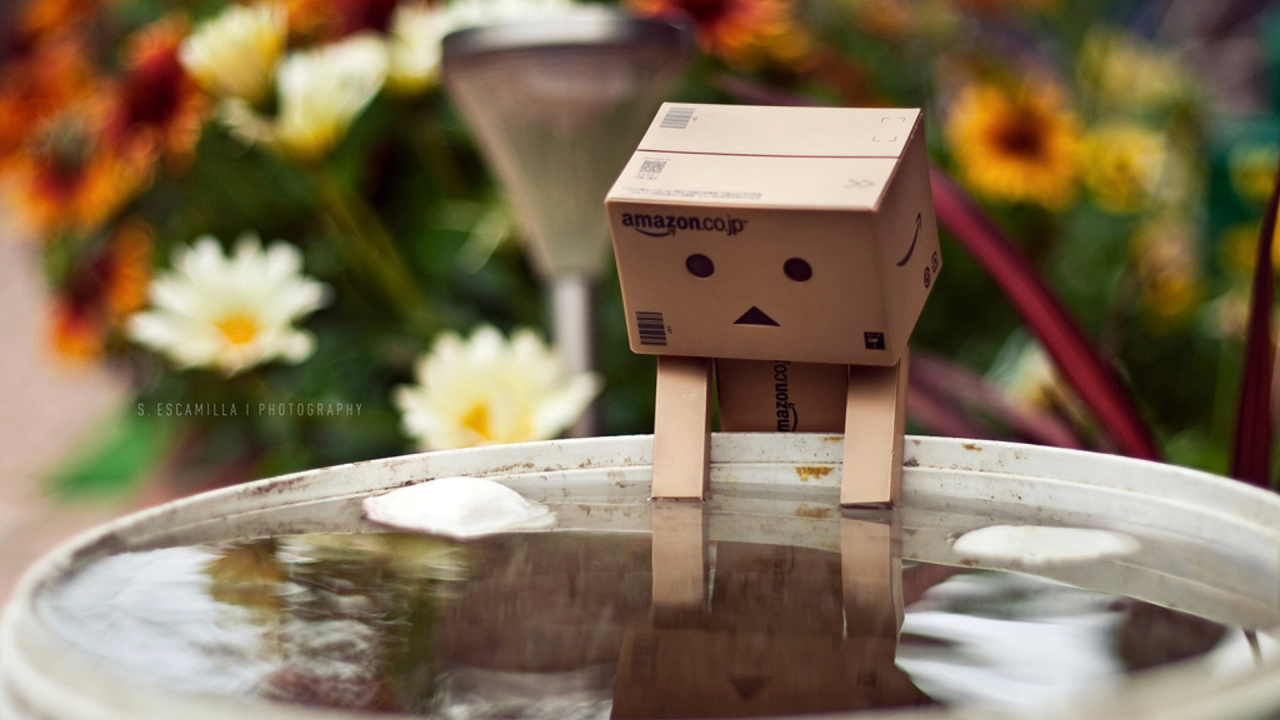 Обои цветы, вода, робот, коробки, danboard в разрешении 1280x720