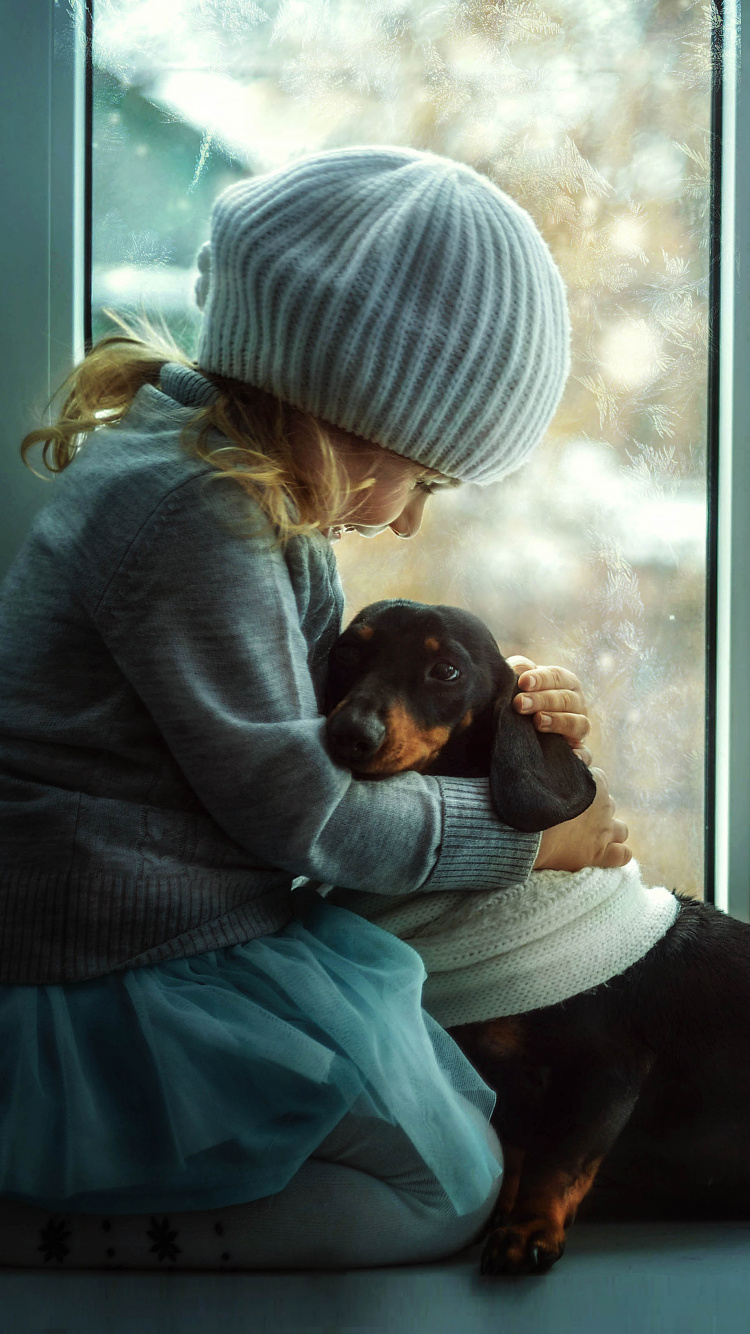 Обои такса, пес, окно, сидящий, шапка в разрешении 750x1334