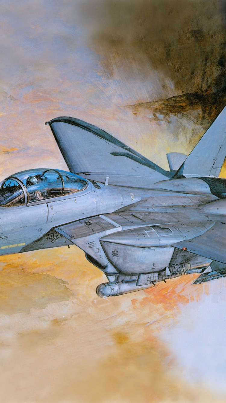 Обои макдоннелл Дуглас, самолеты, самолет, военный самолет, воздушные силы в разрешении 750x1334