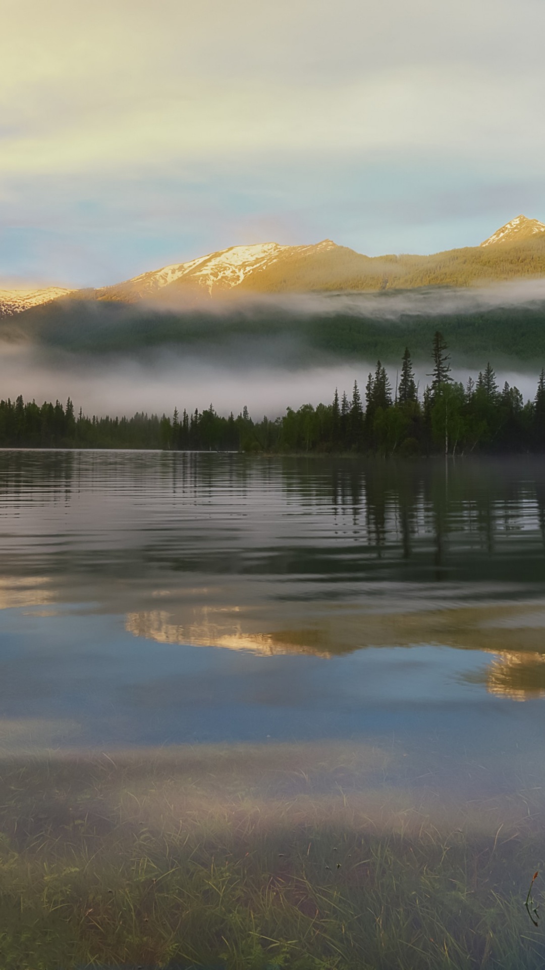 Обои Глубже, вода, облако, экорегион, растение в разрешении 1080x1920