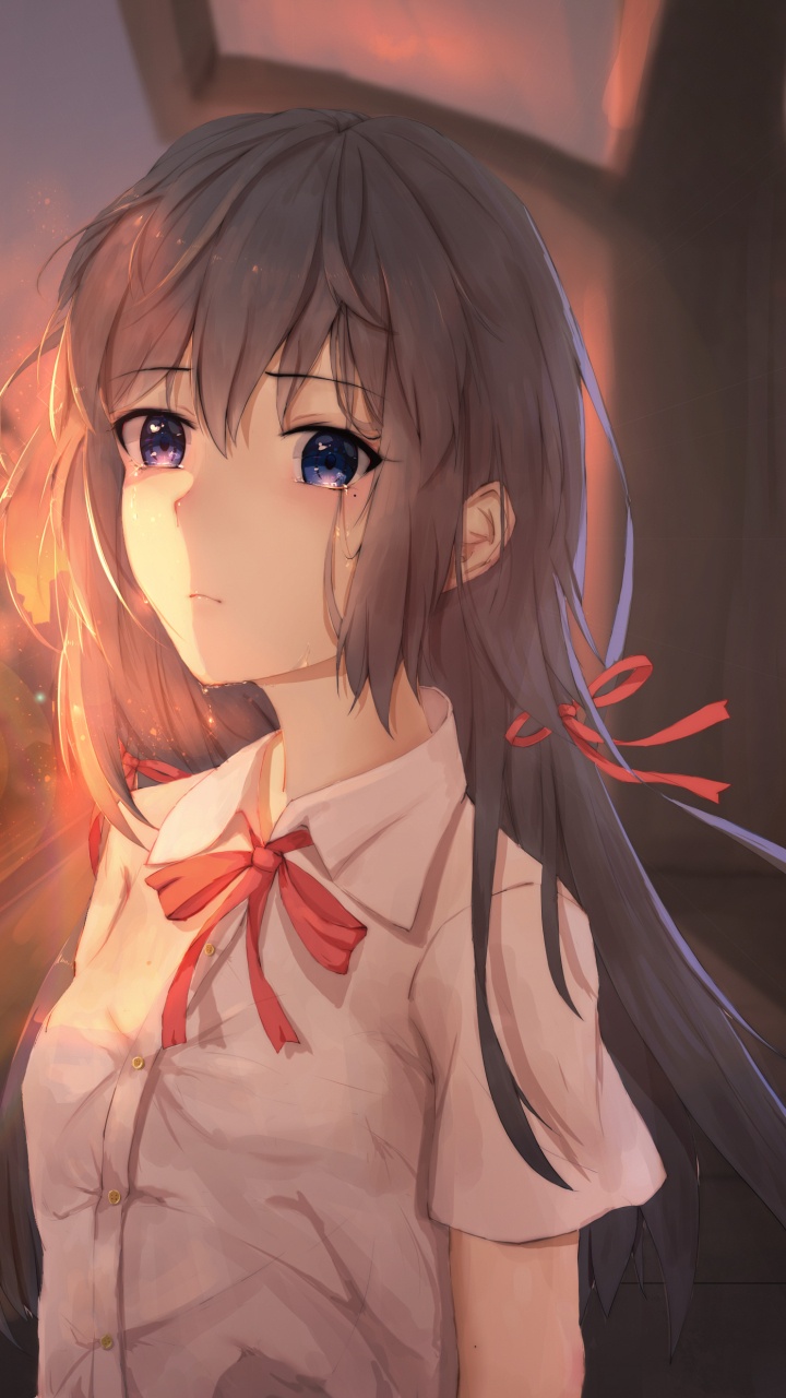 Обои аниме, снимок, длинные волосы, химэ вырезать, каштановые волосы в разрешении 720x1280