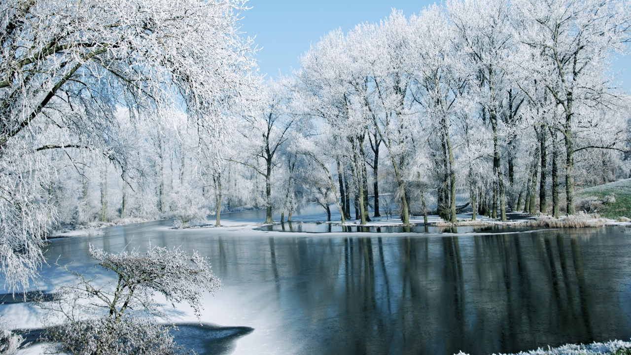 Обои зима, природа, снег, дерево, вода в разрешении 1280x720