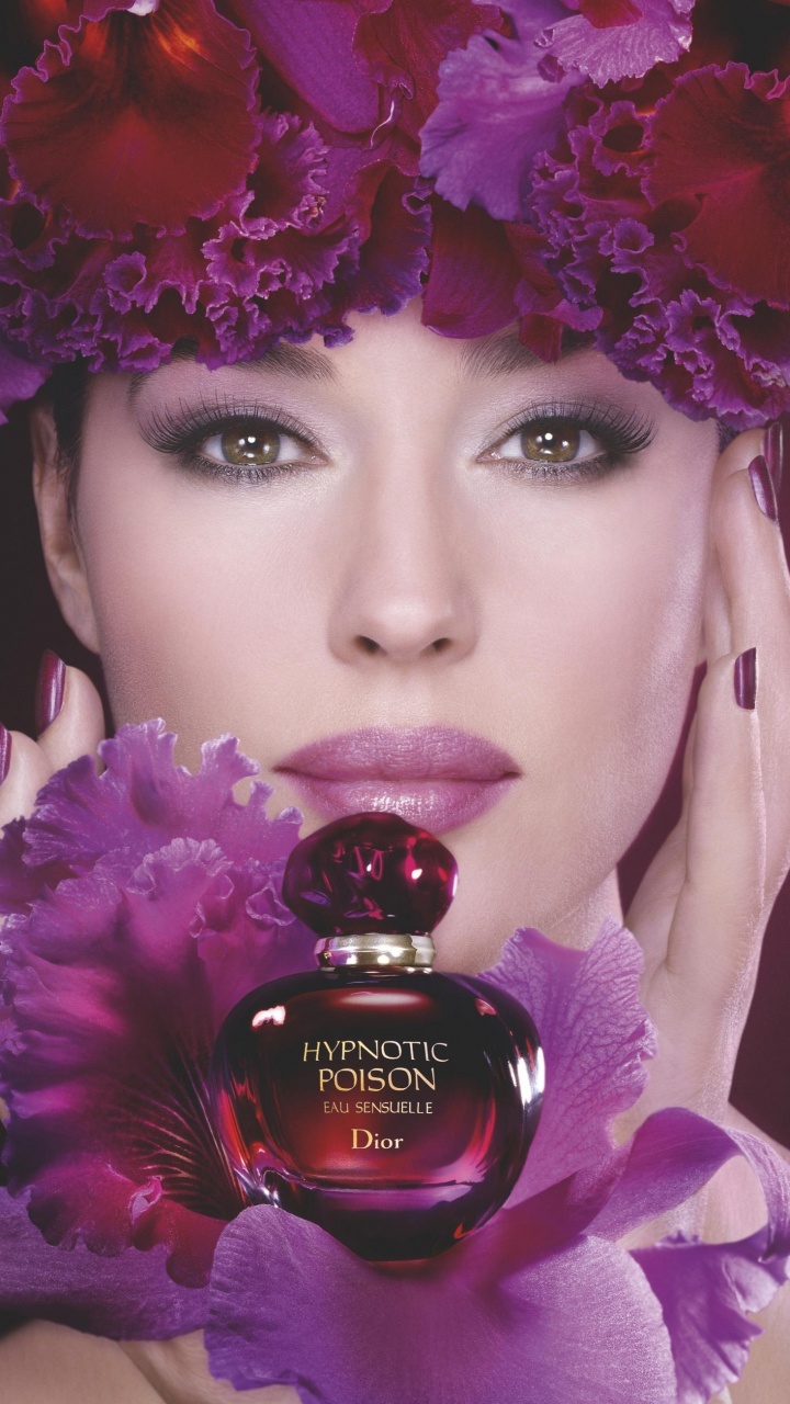 Обои аромат, пурпур, розовый, красота, Фиолетовый в разрешении 720x1280