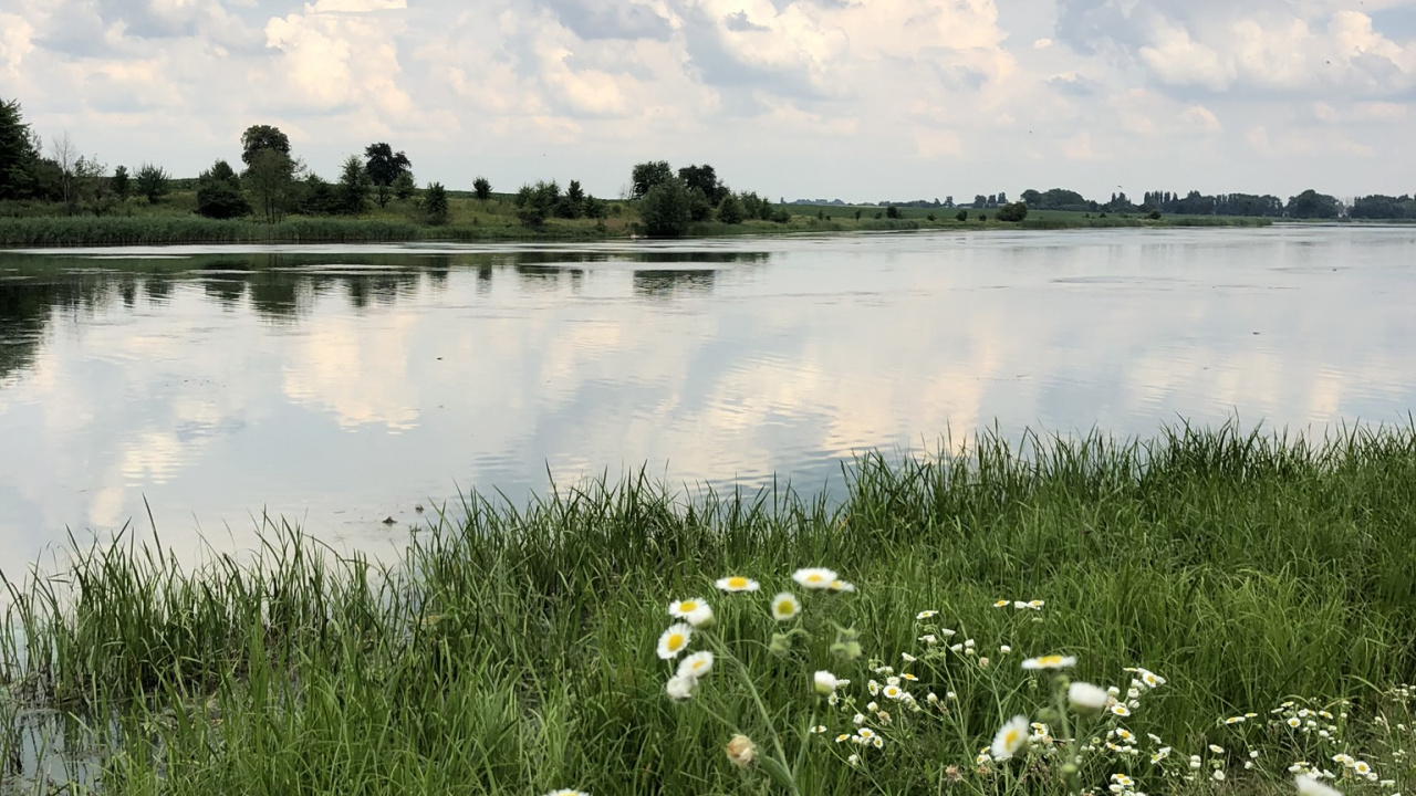 Обои природный заповедник, соленое болото, окружающая среда, растение, природный ландшафт в разрешении 1280x720