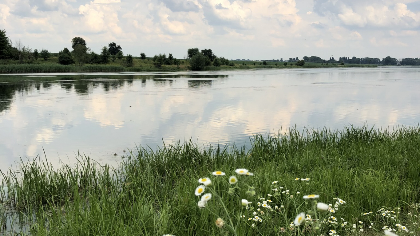Обои природный заповедник, соленое болото, окружающая среда, растение, природный ландшафт в разрешении 1366x768