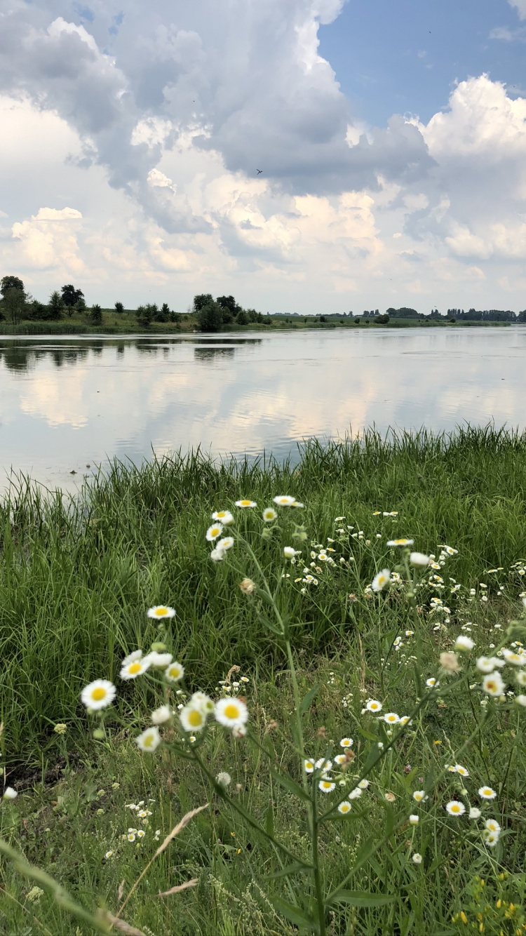 Обои природный заповедник, соленое болото, окружающая среда, растение, природный ландшафт в разрешении 750x1334