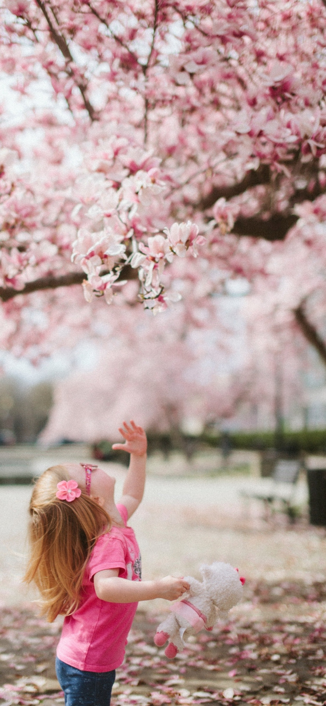 Обои привлекательность, цветок, растение, Люди в природе, ботаники в разрешении 1125x2436