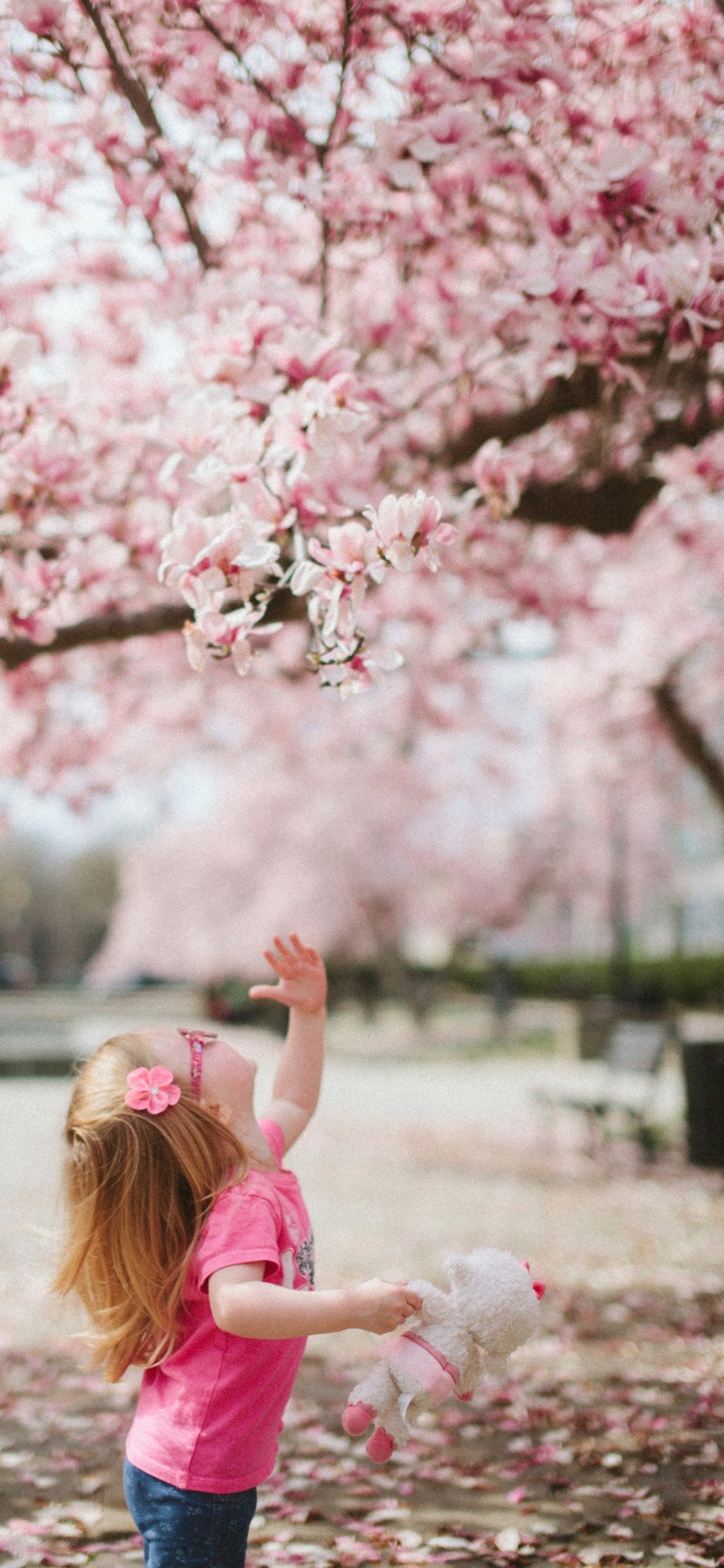 Обои привлекательность, цветок, растение, Люди в природе, ботаники в разрешении 1242x2688