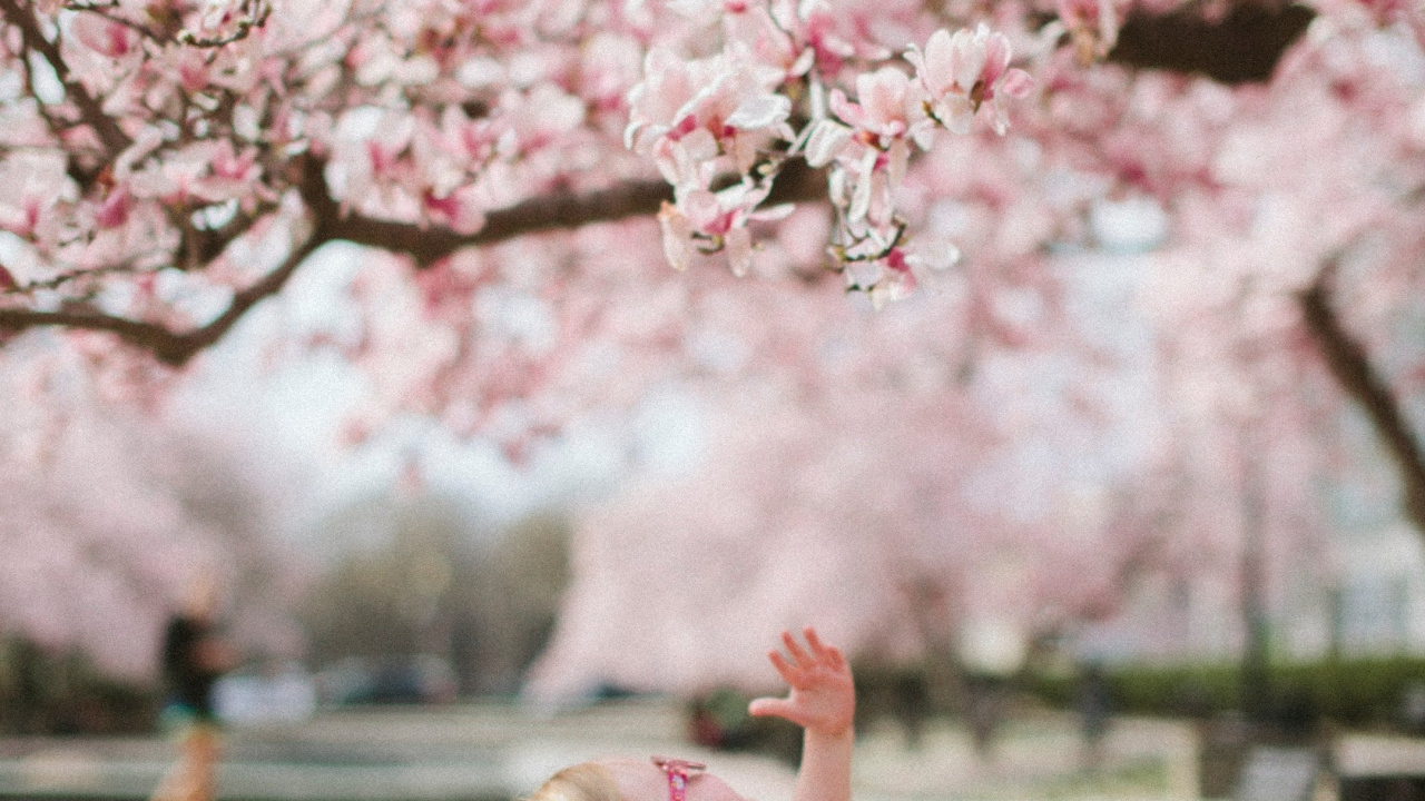 Обои привлекательность, цветок, растение, Люди в природе, ботаники в разрешении 1280x720