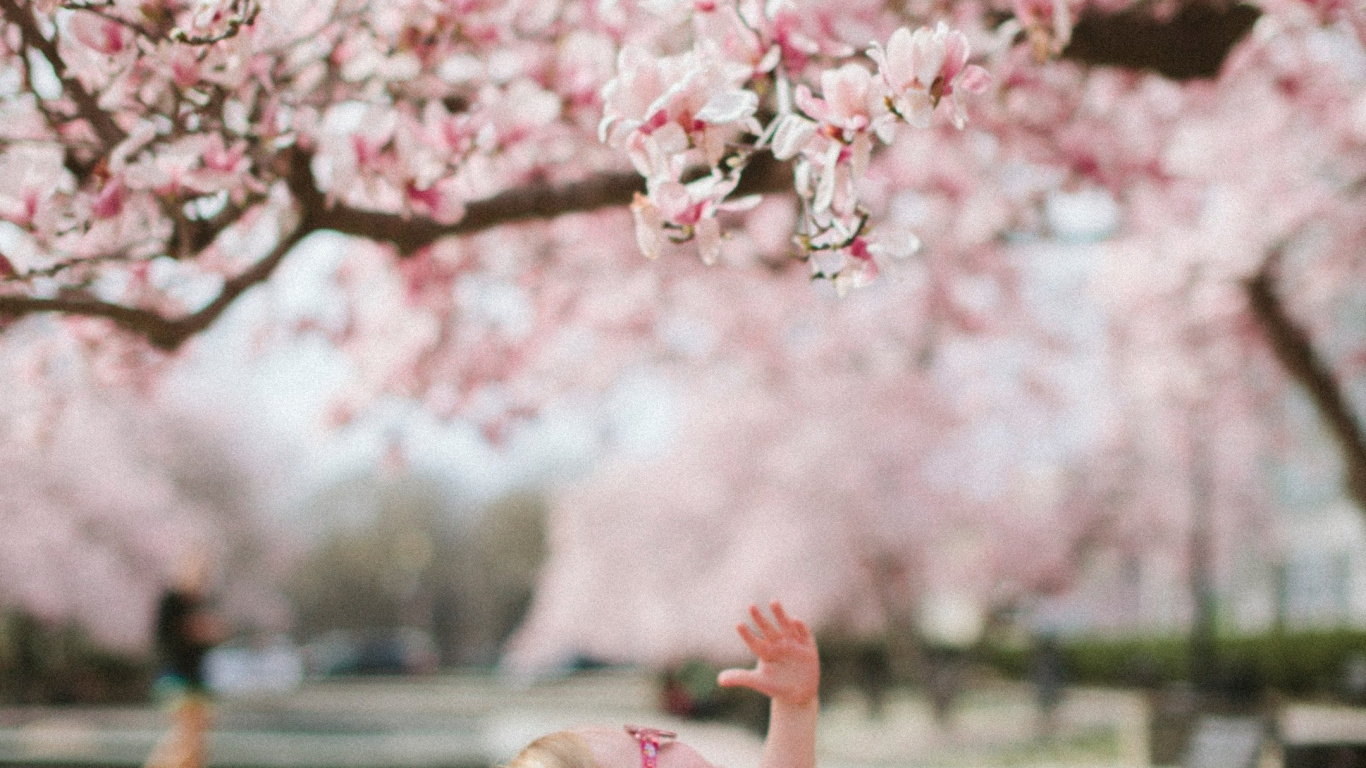 Обои привлекательность, цветок, растение, Люди в природе, ботаники в разрешении 1366x768