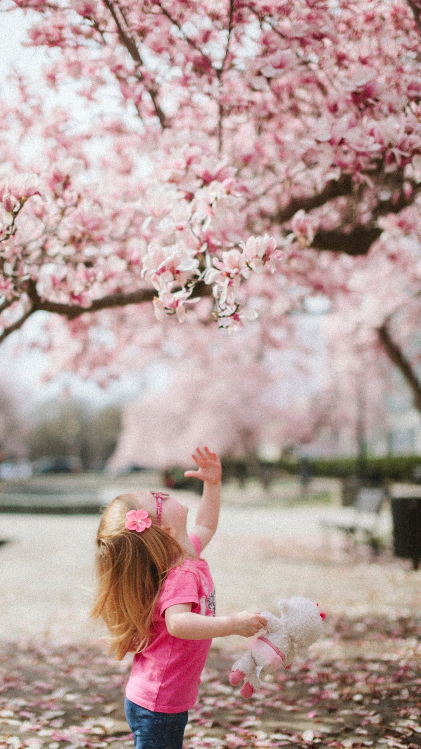 Обои привлекательность, цветок, растение, Люди в природе, ботаники в разрешении 1440x2560