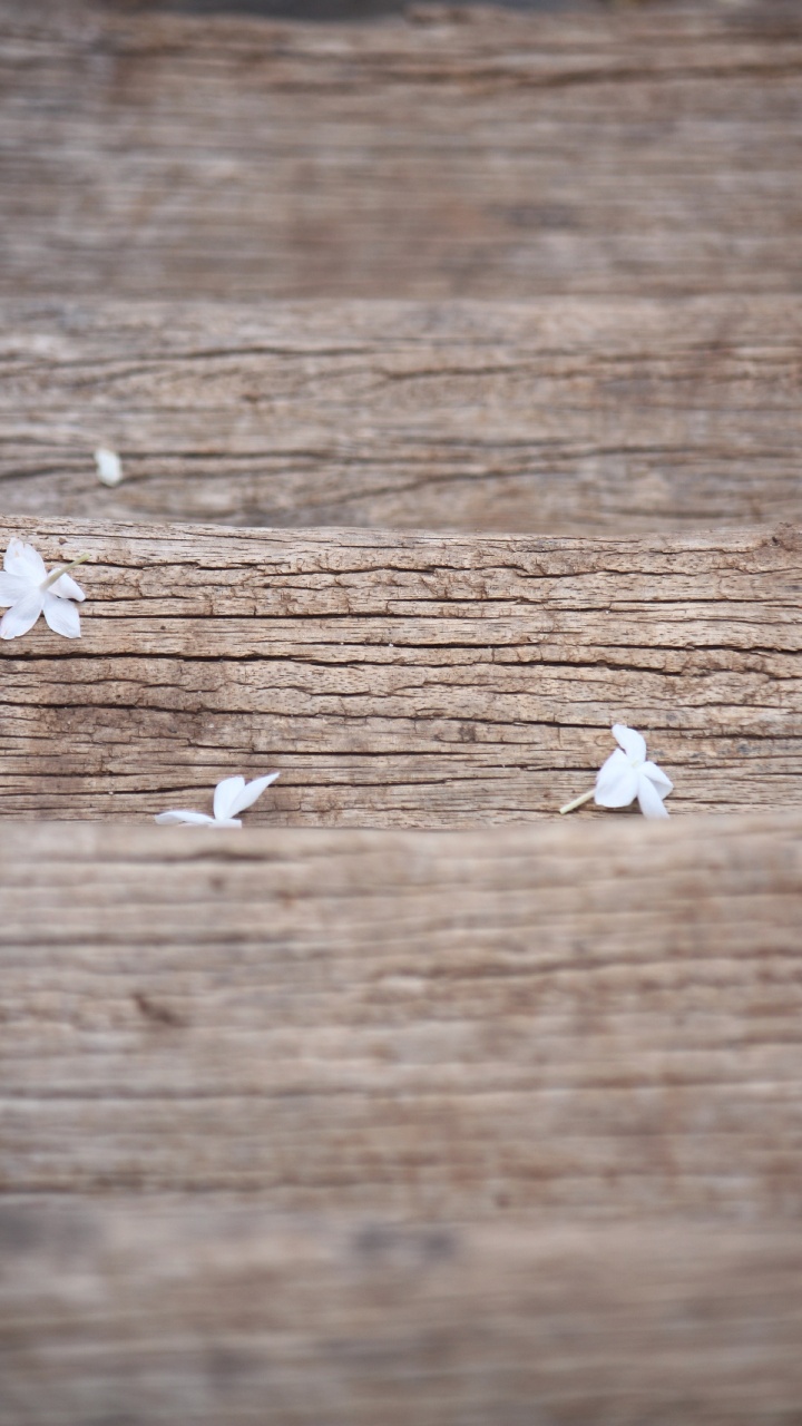 Обои белые, древесина, твердая древесина, морилка, деревянный настил в разрешении 720x1280