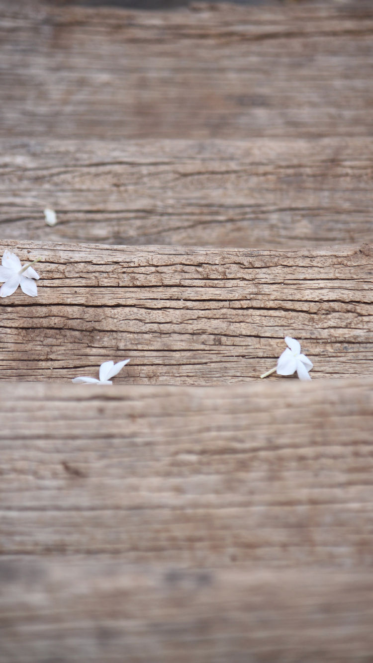 Обои белые, древесина, твердая древесина, морилка, деревянный настил в разрешении 750x1334