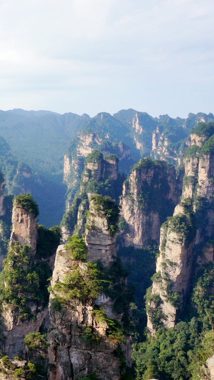 Обои растительность, горный рельеф, природный заповедник, гора, дикая местность в разрешении 720x1280