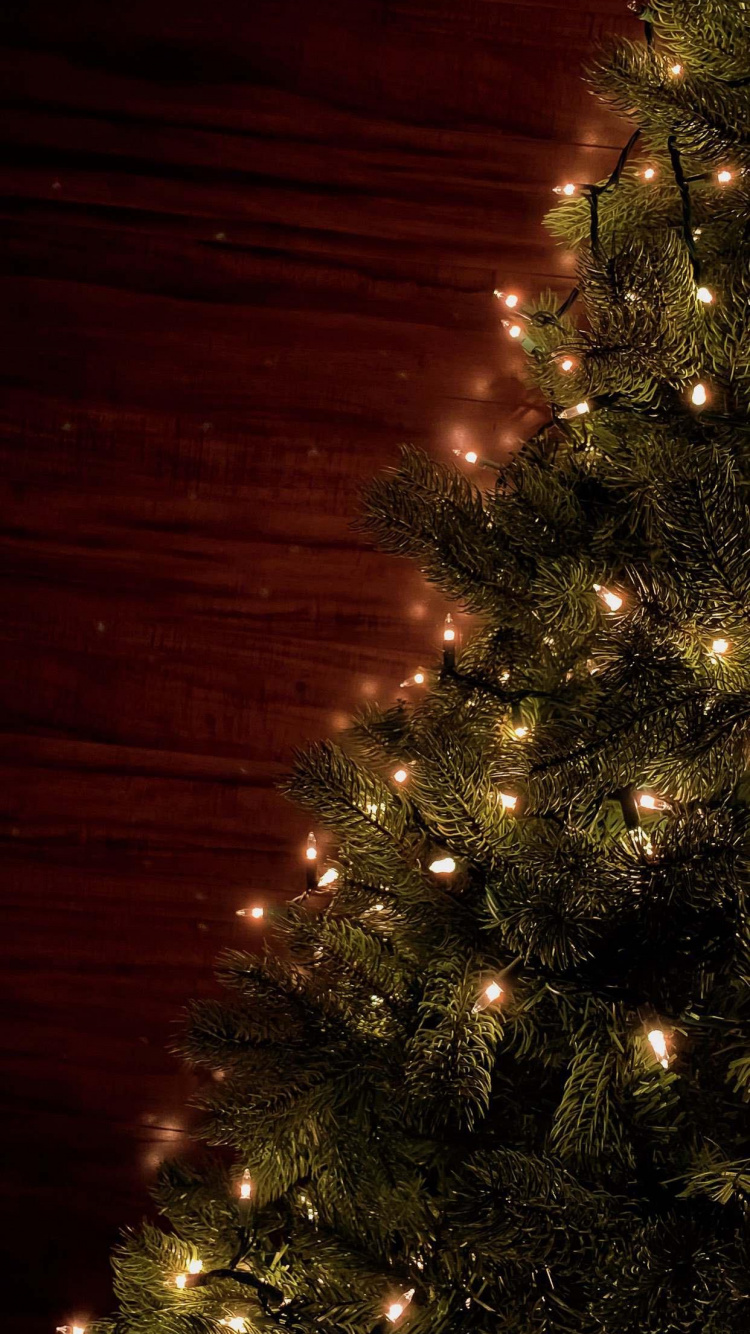 Обои С Рождеством Христовым, елка, Рождественский день, праздник, растение в разрешении 750x1334
