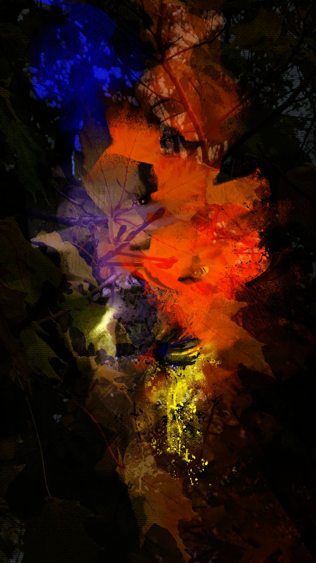 Обои природа, земля, мир, вода, полутона и оттенки в разрешении 1080x1920