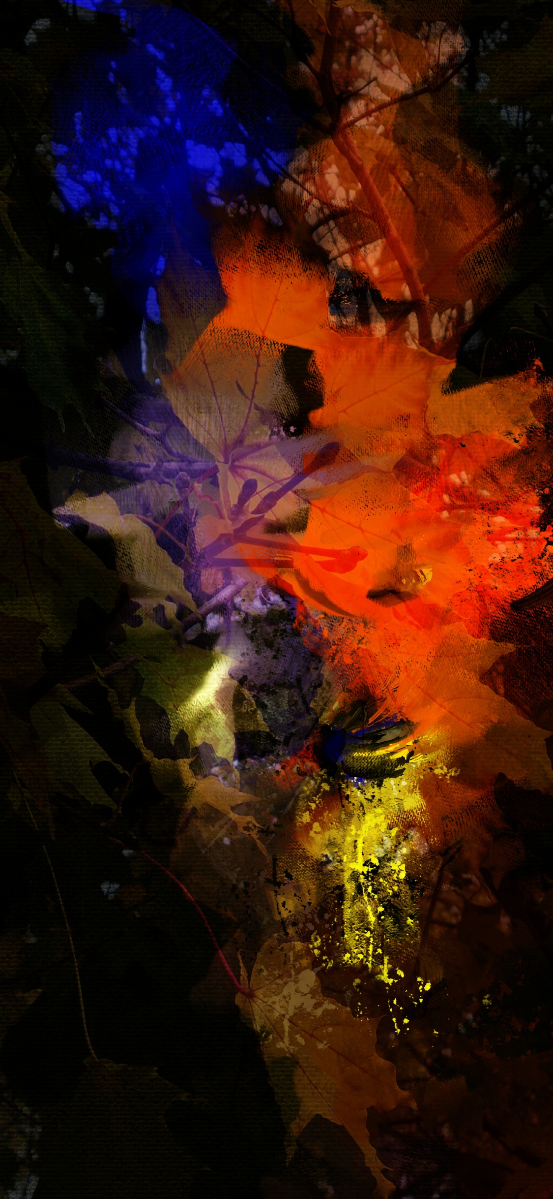 Обои природа, земля, мир, вода, полутона и оттенки в разрешении 1125x2436