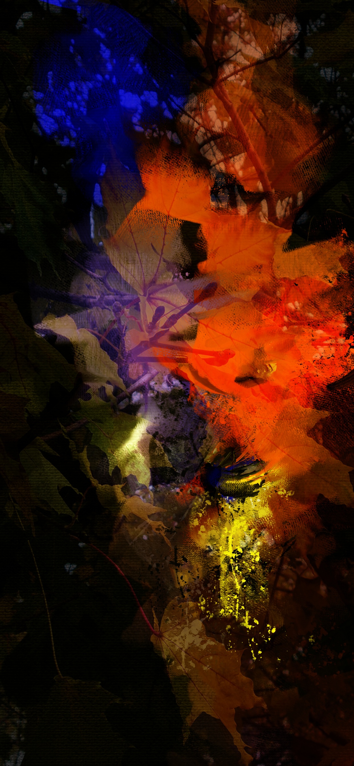 Обои природа, земля, мир, вода, полутона и оттенки в разрешении 1242x2688