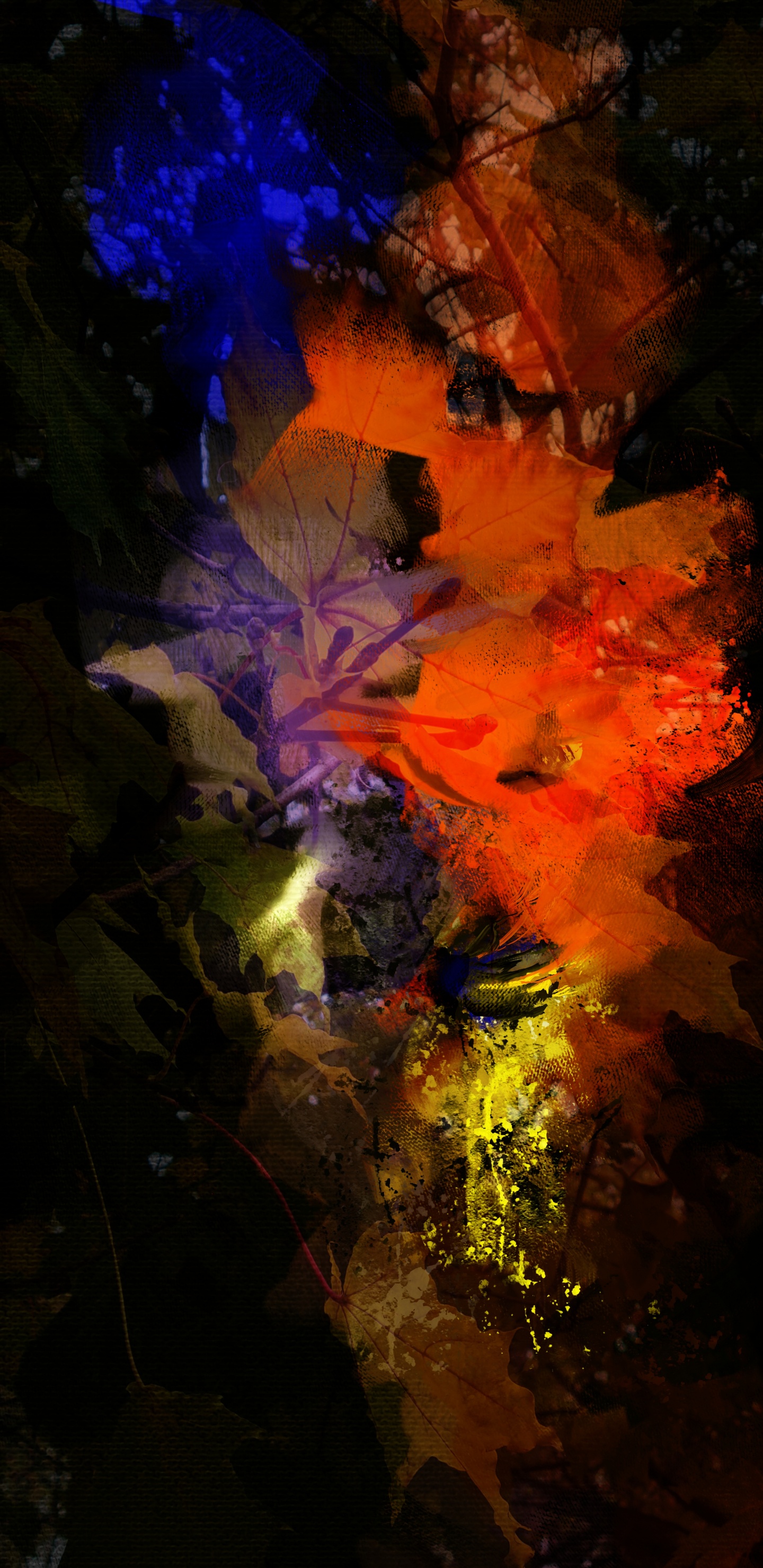 Обои природа, земля, мир, вода, полутона и оттенки в разрешении 1440x2960