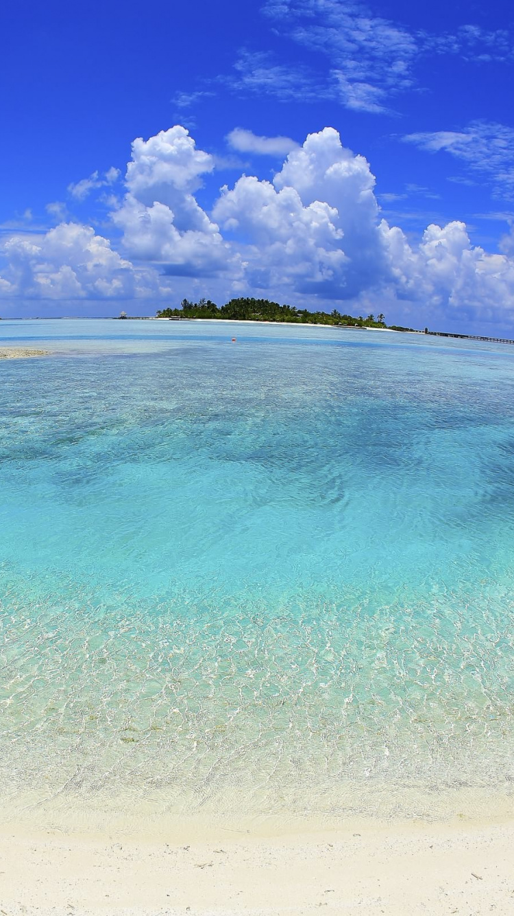 Обои море, Лагуна, тропическая зона, лазурный, прибрежные и океанические рельефы в разрешении 750x1334