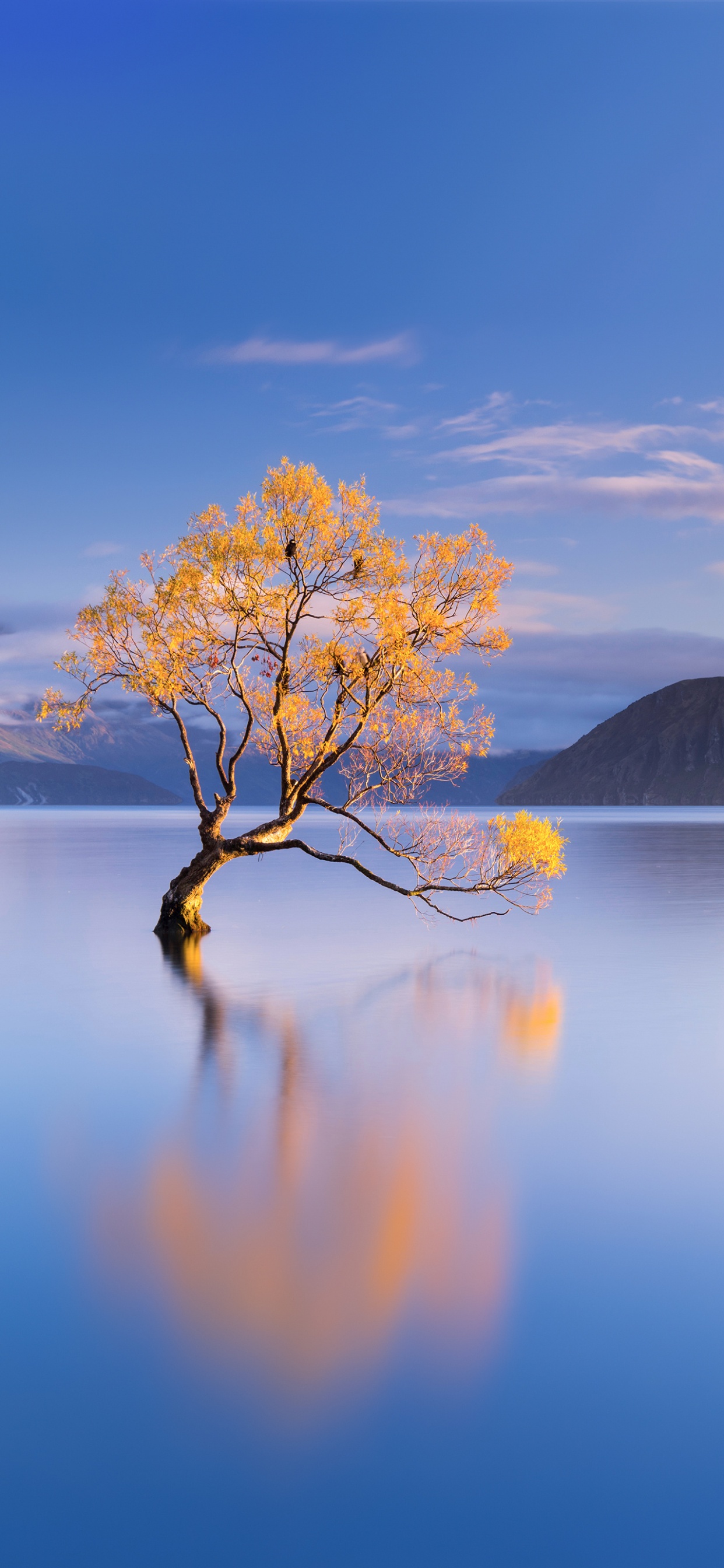 Обои вода, облако, гидроресурсы, растение, гора в разрешении 1242x2688