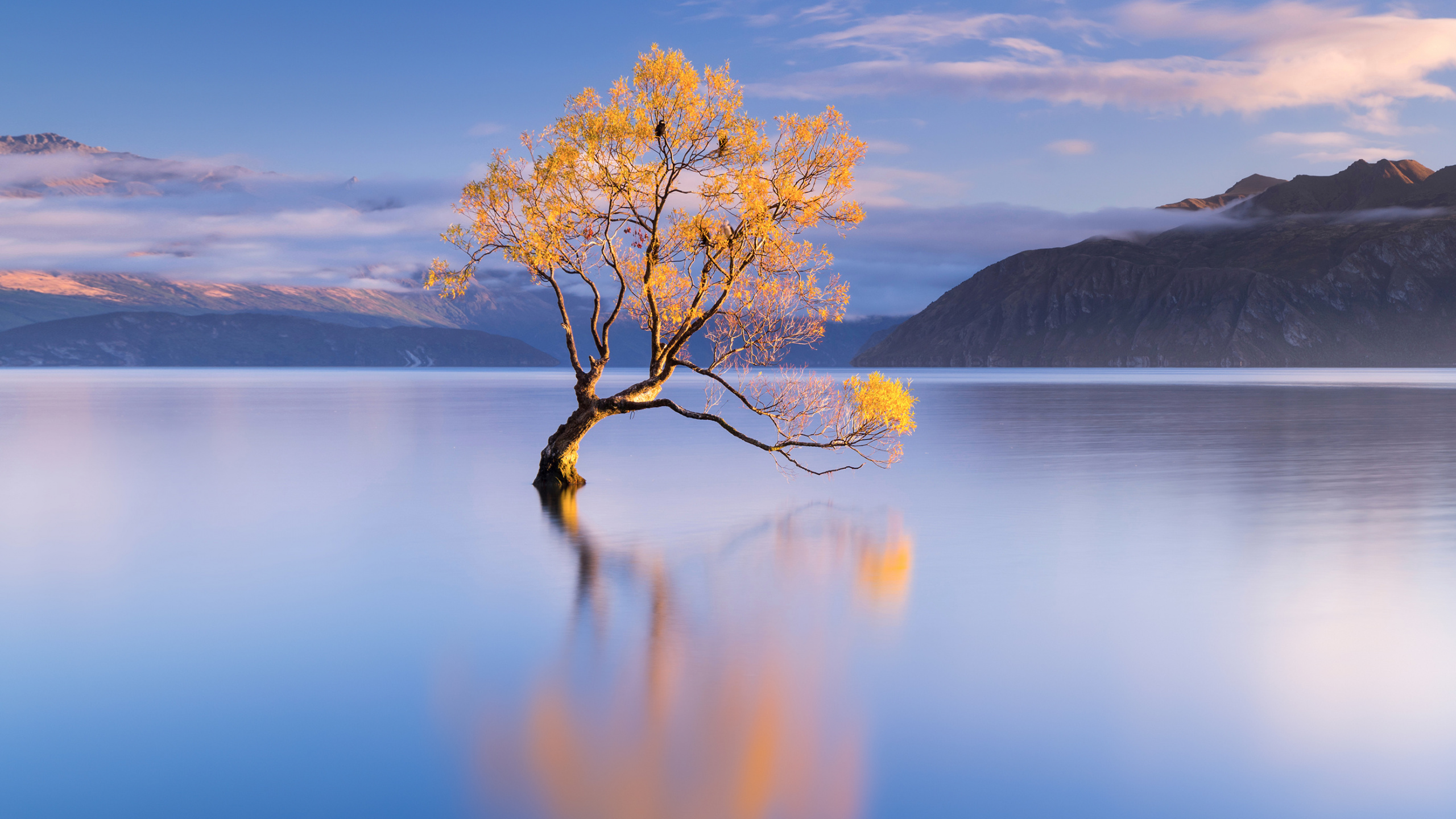 Обои вода, облако, гидроресурсы, растение, гора в разрешении 2560x1440