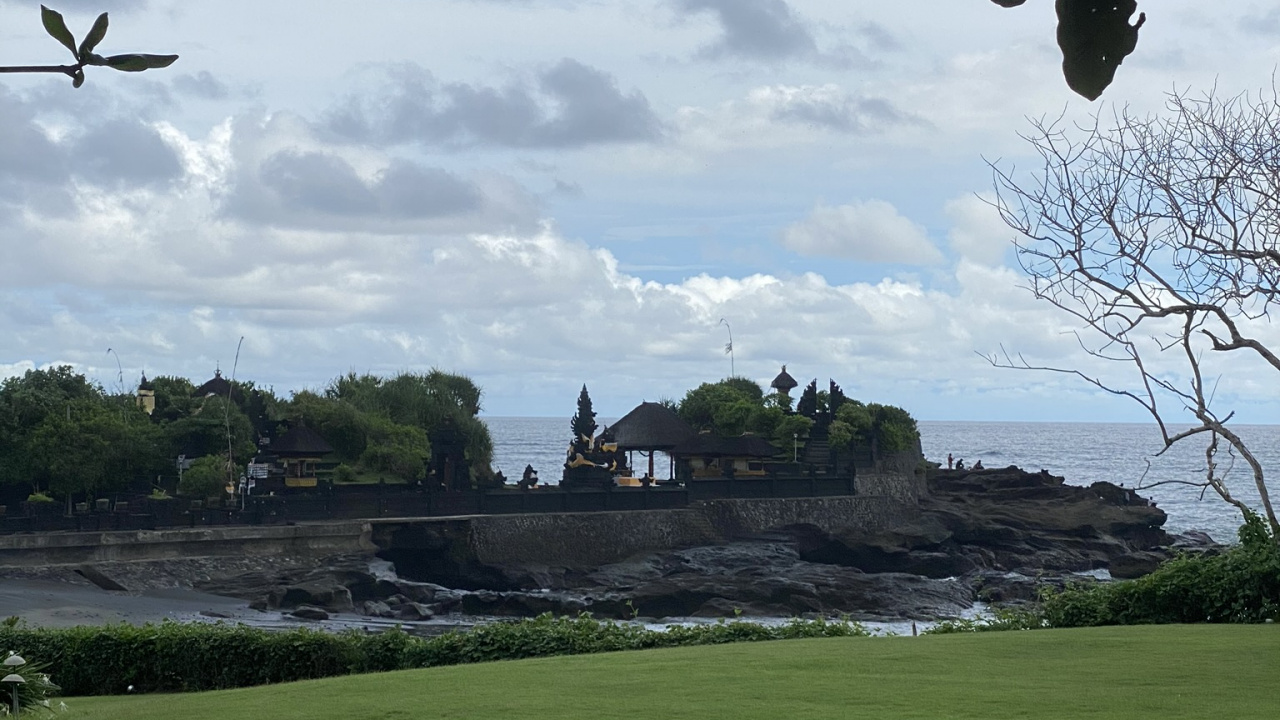 Обои бали, лист, пистолет для пенополиуретана 025ст, наука, биология в разрешении 1280x720