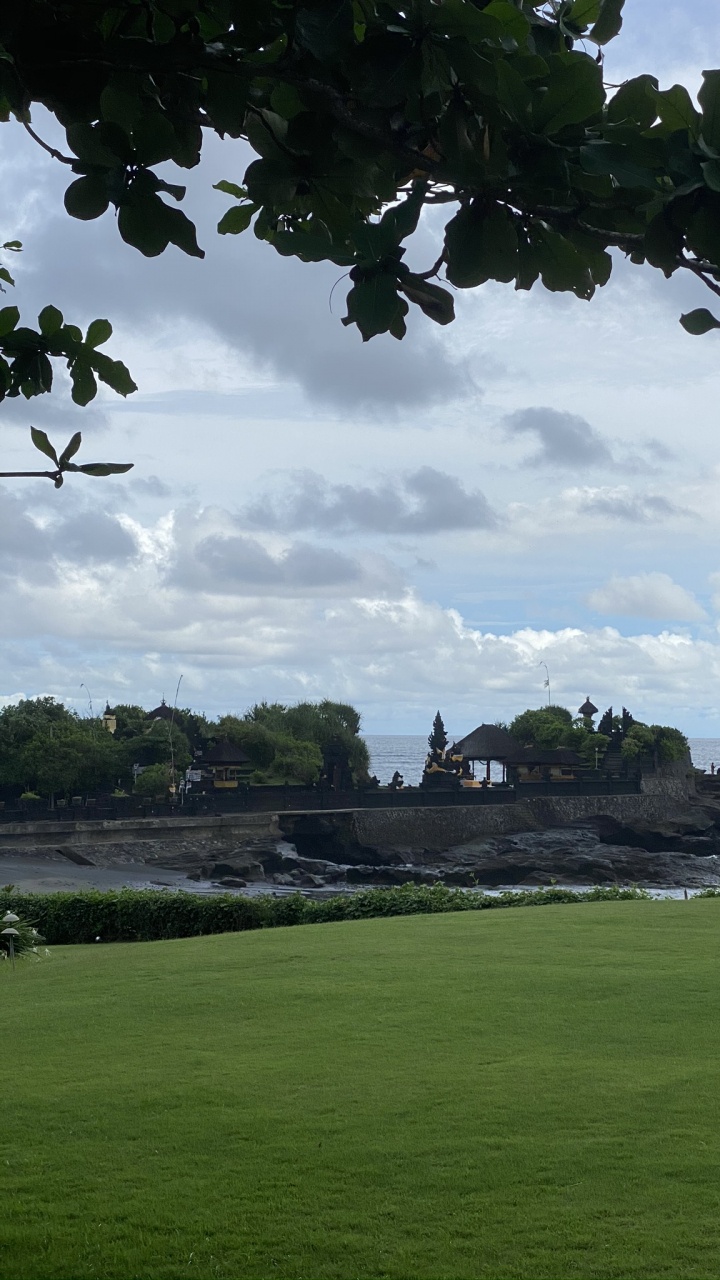 Обои бали, лист, пистолет для пенополиуретана 025ст, наука, биология в разрешении 720x1280