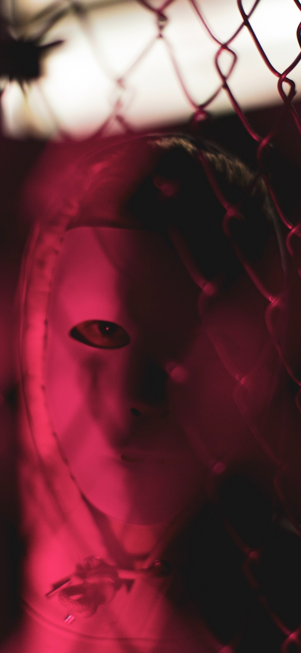 Обои красный цвет, свет, розовый, вода, пурпурный цвет в разрешении 1242x2688