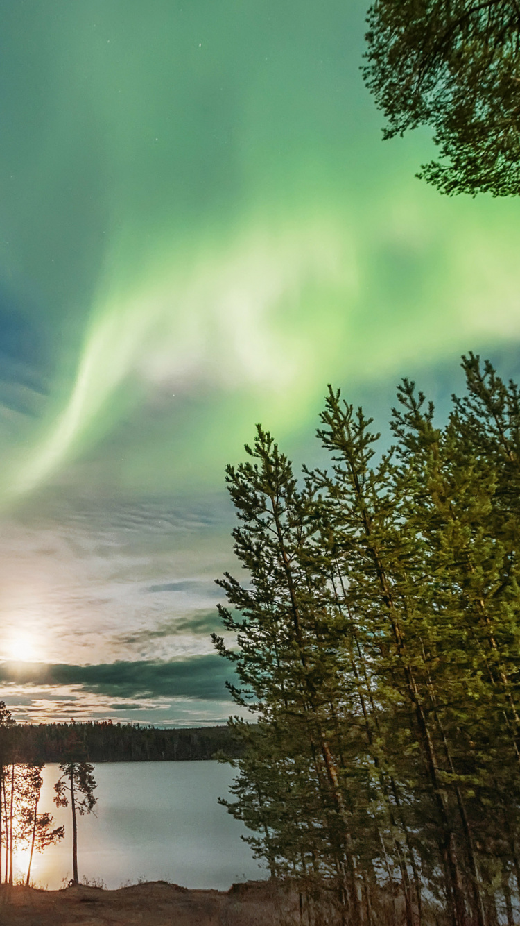 Обои природа, Радуга, дерево, Аврора, отражение в разрешении 750x1334