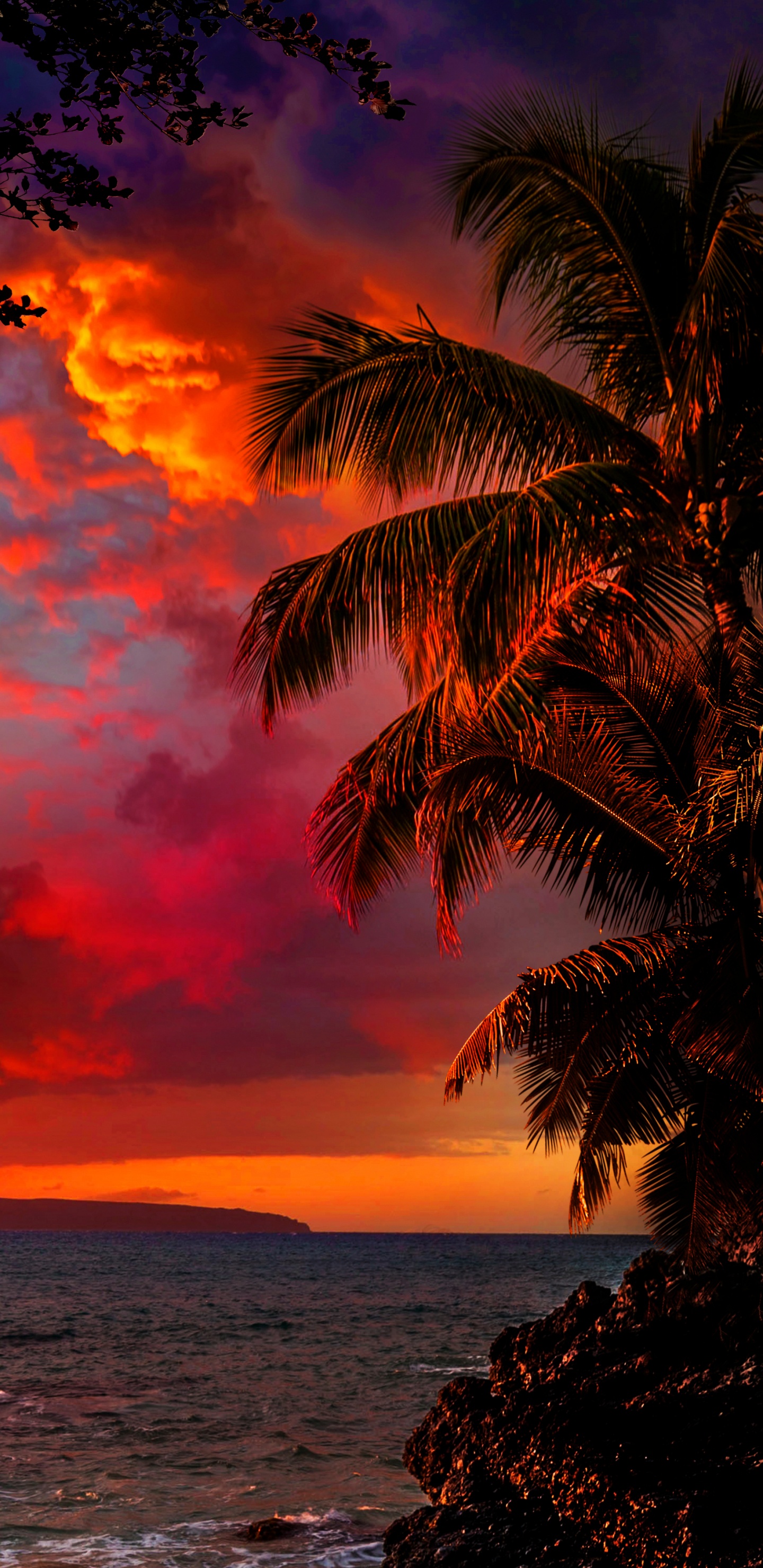 Обои облако, вода, атмосфера, свет, послесвечение в разрешении 1440x2960