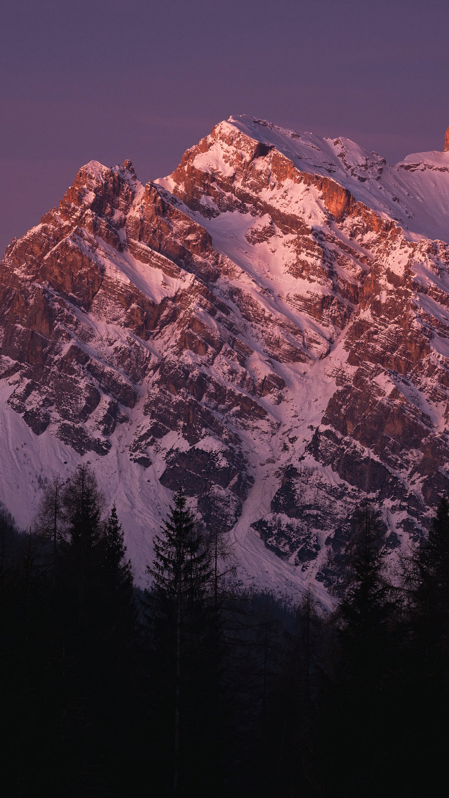 Обои гора, мир, природный ландшафт, дерево, местность в разрешении 1440x2560