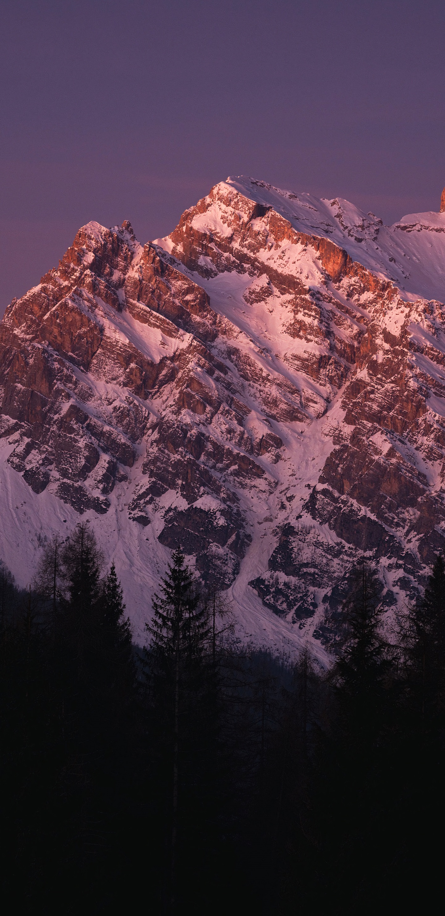 Обои гора, мир, природный ландшафт, дерево, местность в разрешении 1440x2960