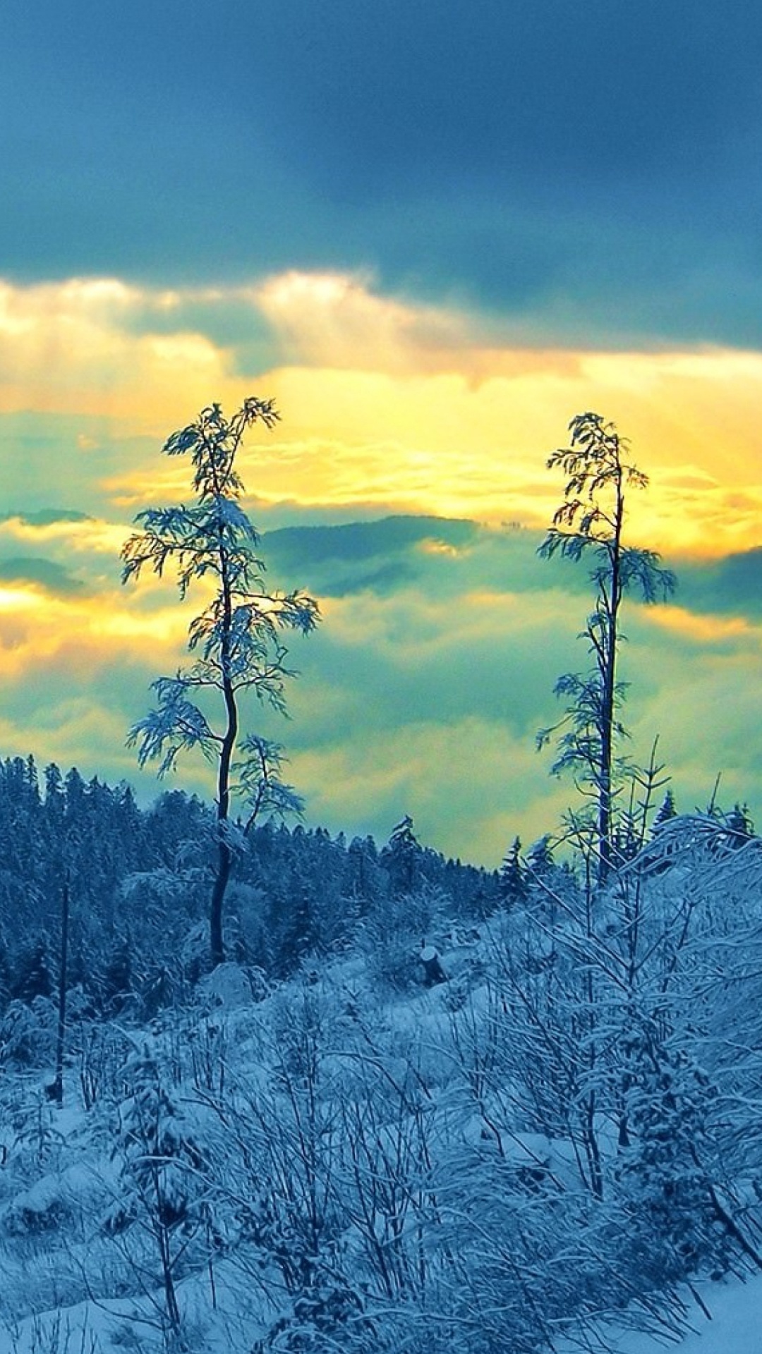 Обои зима, снег, облако, дикая местность, гора в разрешении 1080x1920