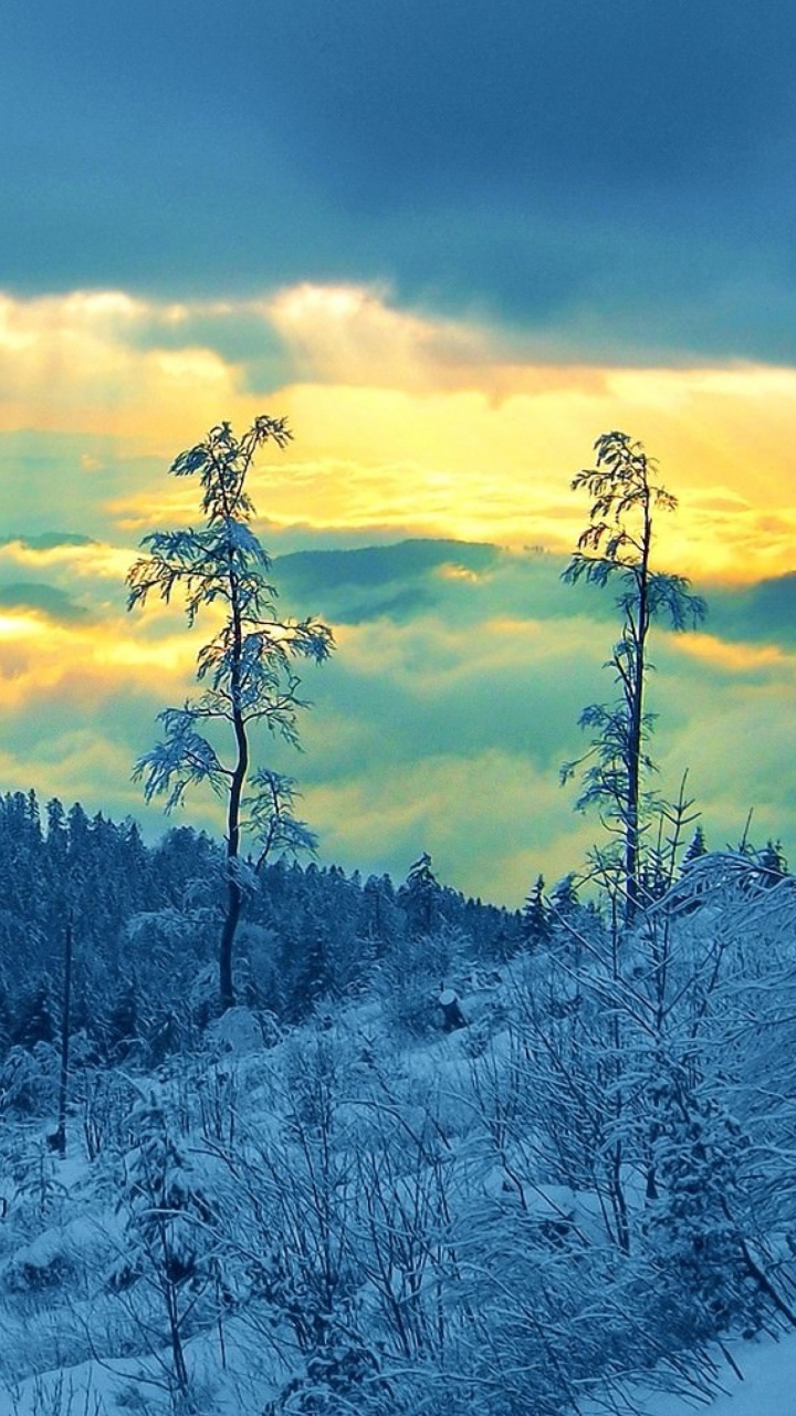 Обои зима, снег, облако, дикая местность, гора в разрешении 720x1280