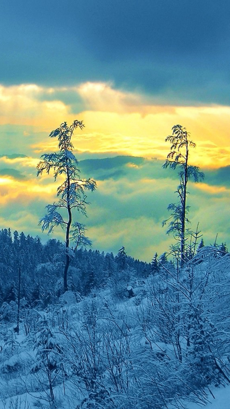 Обои зима, снег, облако, дикая местность, гора в разрешении 750x1334