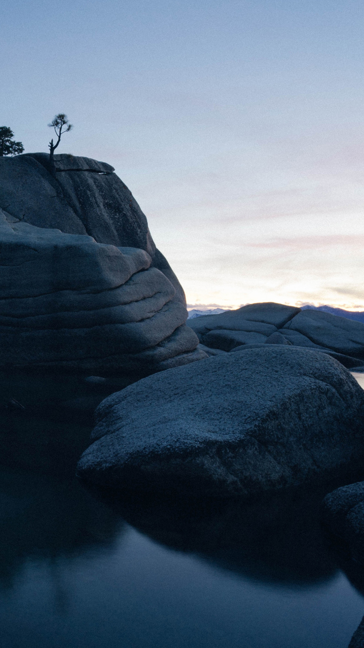 Обои apple, iOS 12, iPhone, яблоко, ios в разрешении 750x1334