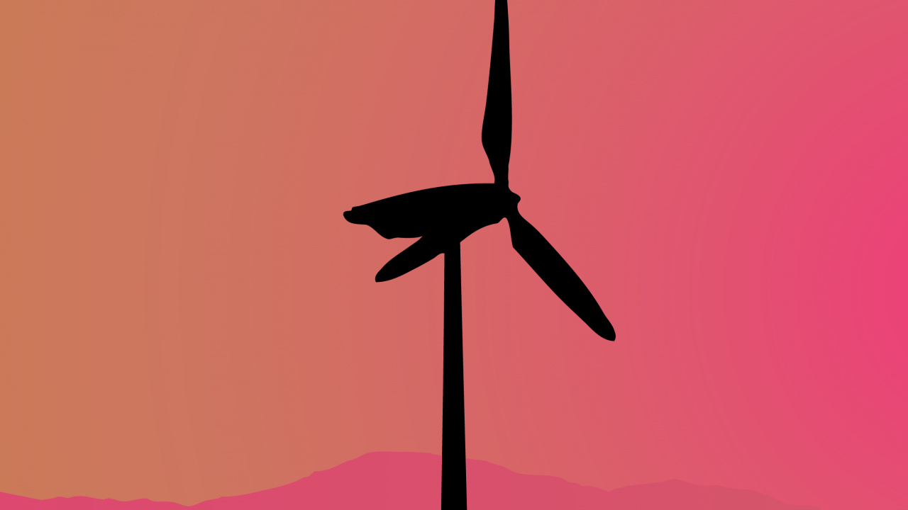 Обои птица, красный цвет, Апельсин, миграция птиц, крыло в разрешении 1280x720